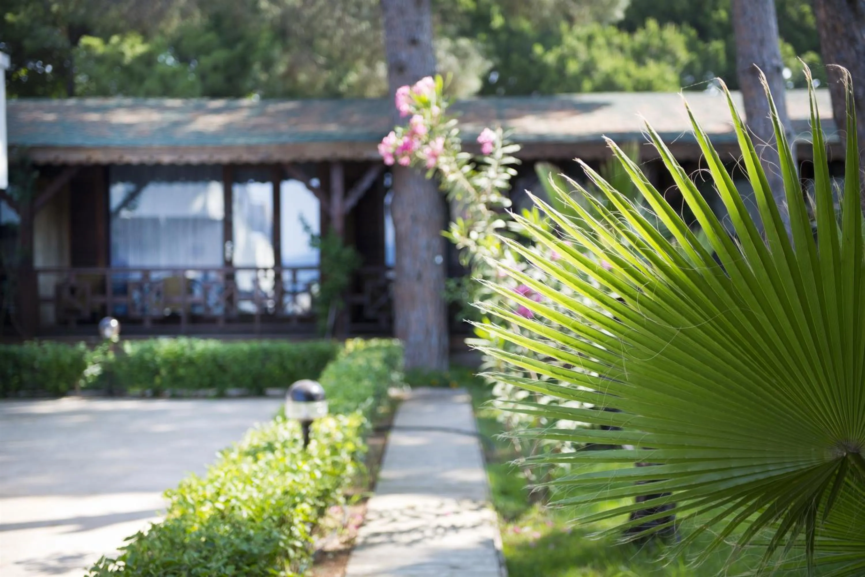 Facade/entrance in Flora Garden Beach Hotel - Adults Only 16 Plus - Couples Concept