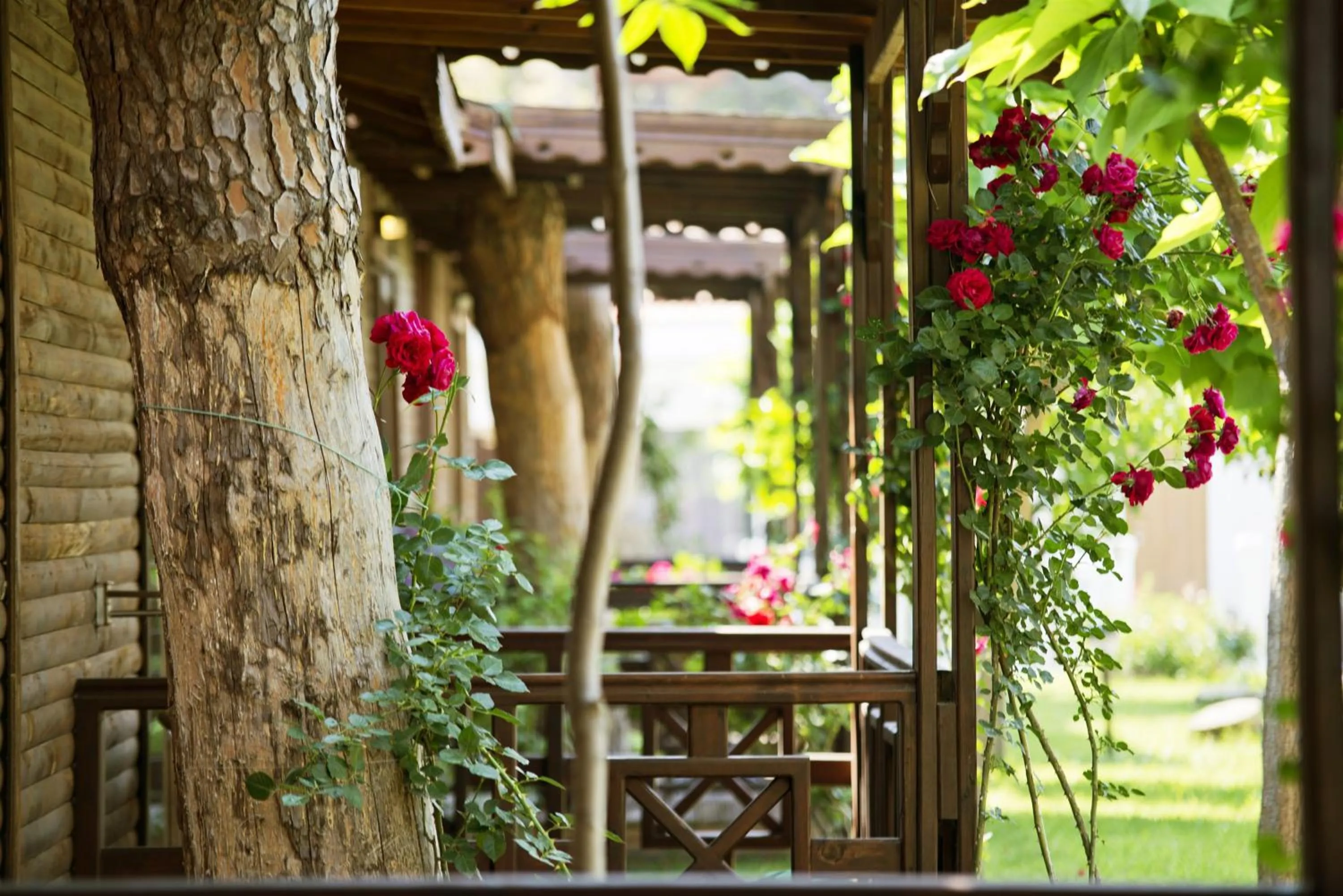 Day in Flora Garden Beach Hotel - Adults Only 16 Plus - Couples Concept