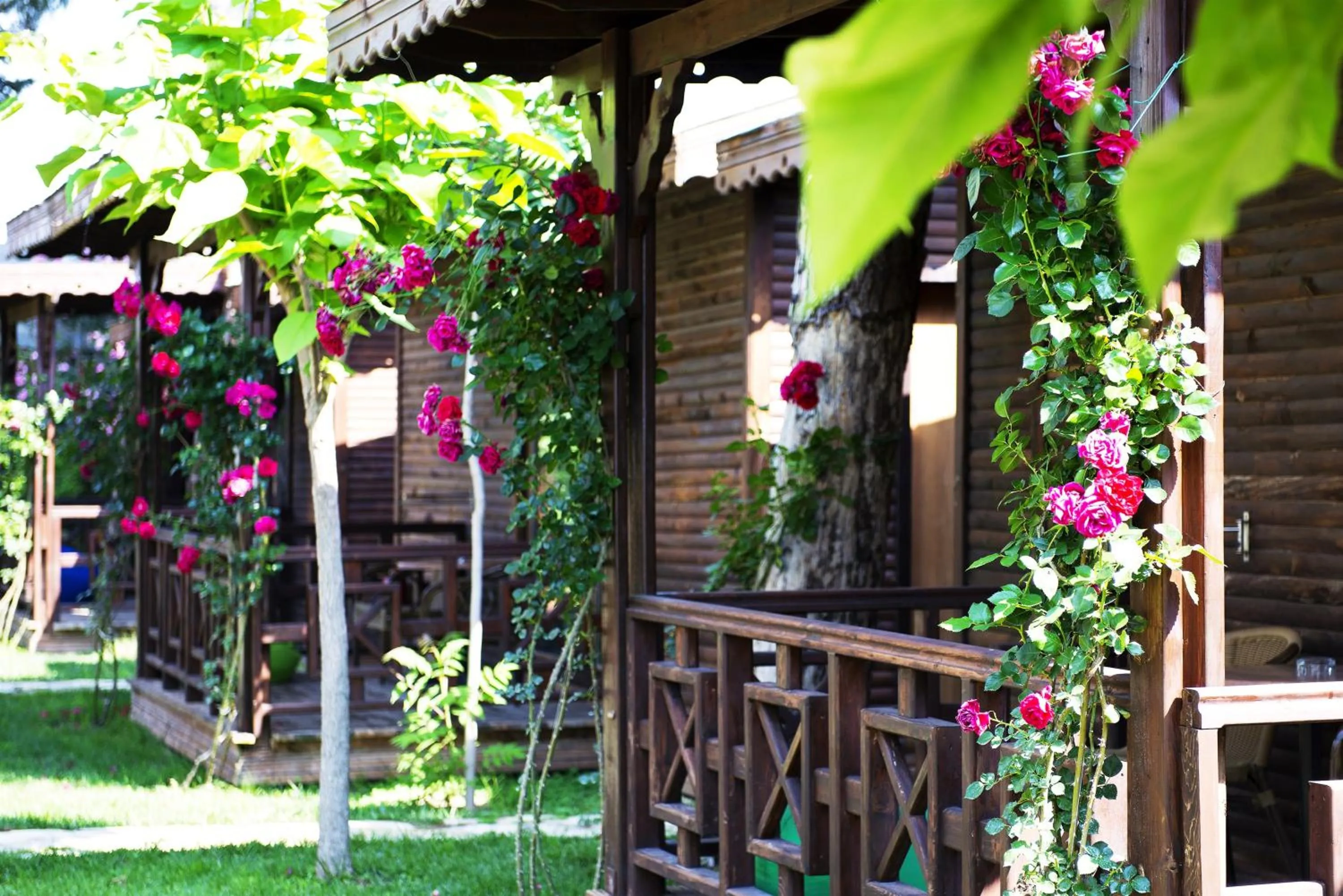 Day in Flora Garden Beach Hotel - Adults Only 16 Plus - Couples Concept