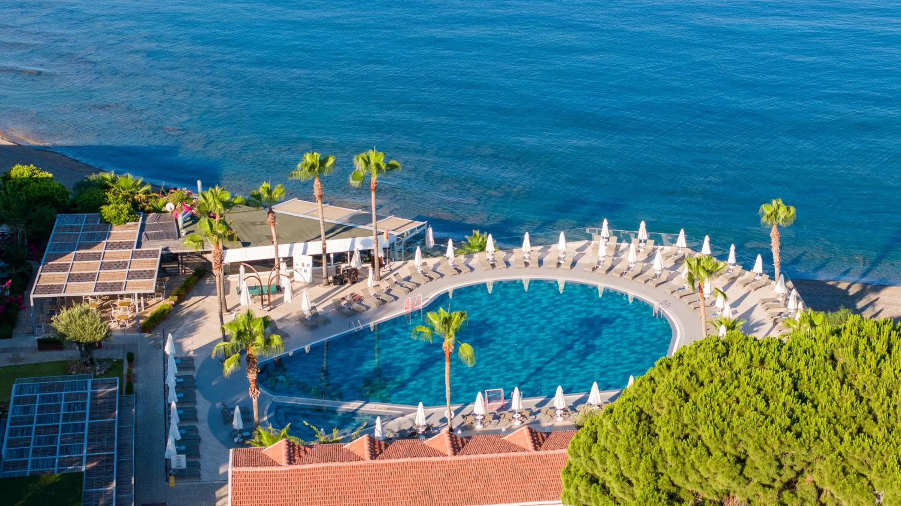 Swimming pool in Flora Garden Beach Hotel - Adults Only 16 Plus - Couples Concept