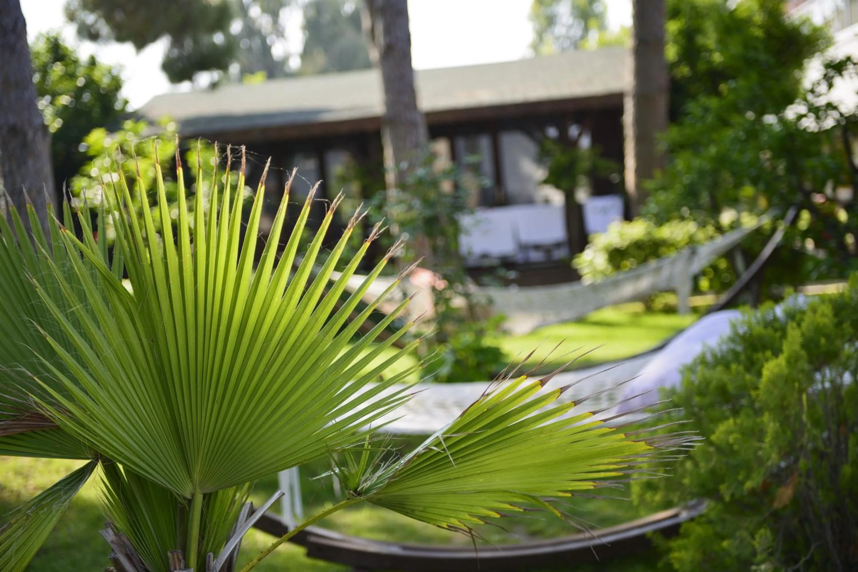Day in Flora Garden Beach Hotel - Adults Only 16 Plus - Couples Concept