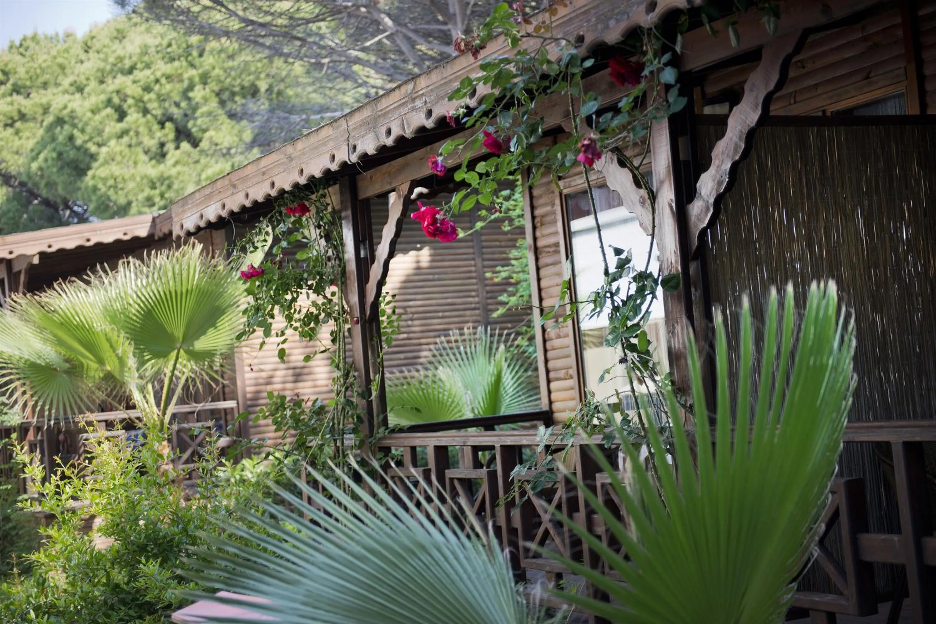 Day in Flora Garden Beach Hotel - Adults Only 16 Plus - Couples Concept