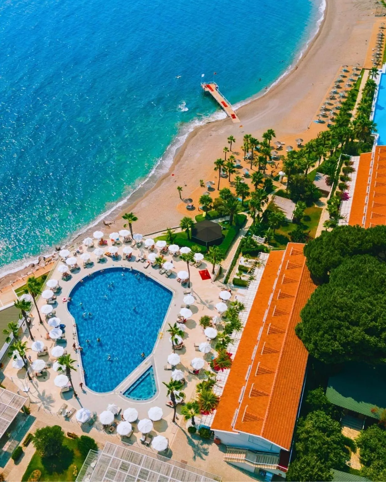 Beach in Flora Garden Beach Hotel - Adults Only 16 Plus - Couples Concept