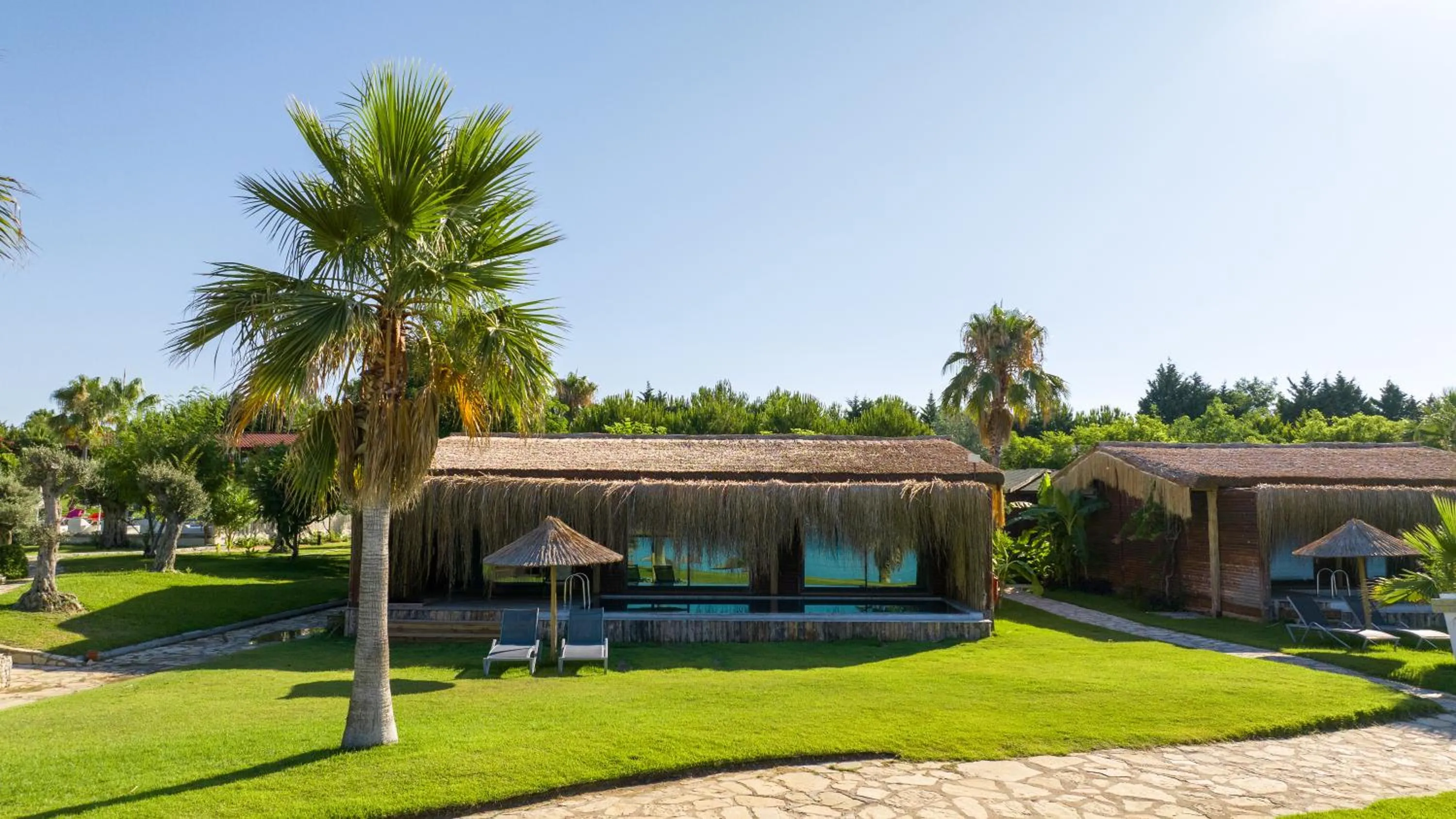 Garden view in Flora Garden Beach Hotel - Adults Only 16 Plus - Couples Concept