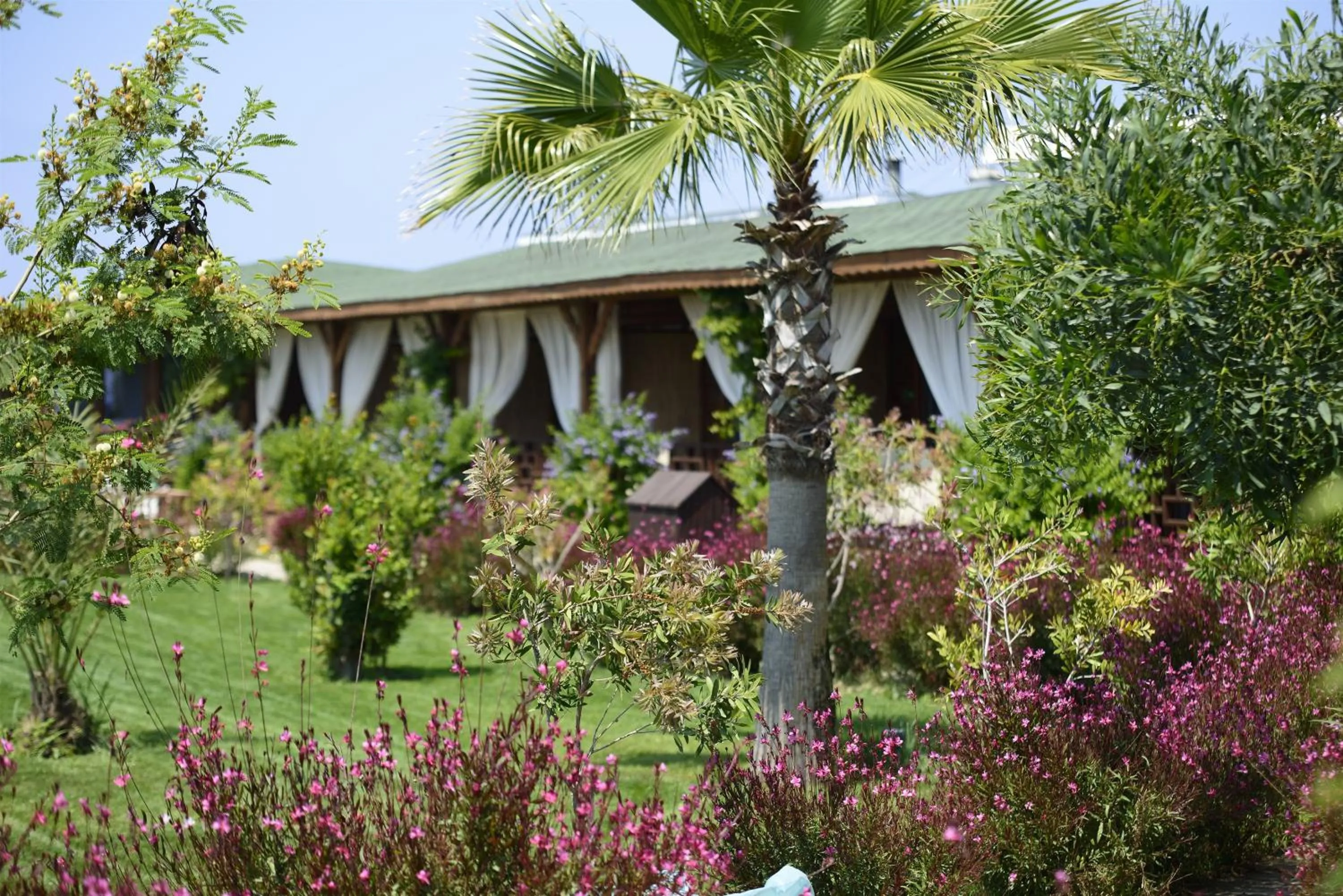 Day in Flora Garden Beach Hotel - Adults Only 16 Plus - Couples Concept