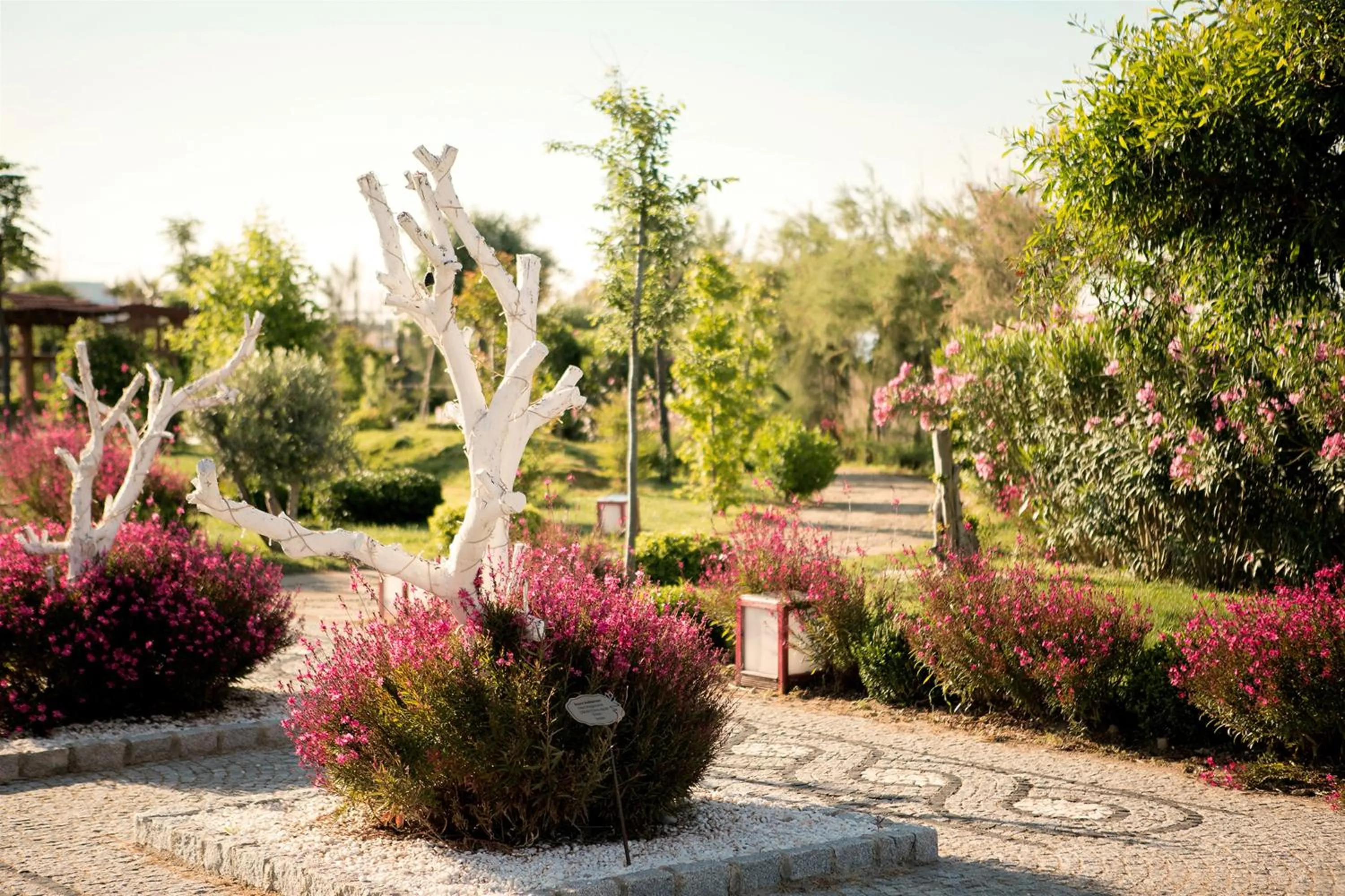 Day in Flora Garden Beach Hotel - Adults Only 16 Plus - Couples Concept