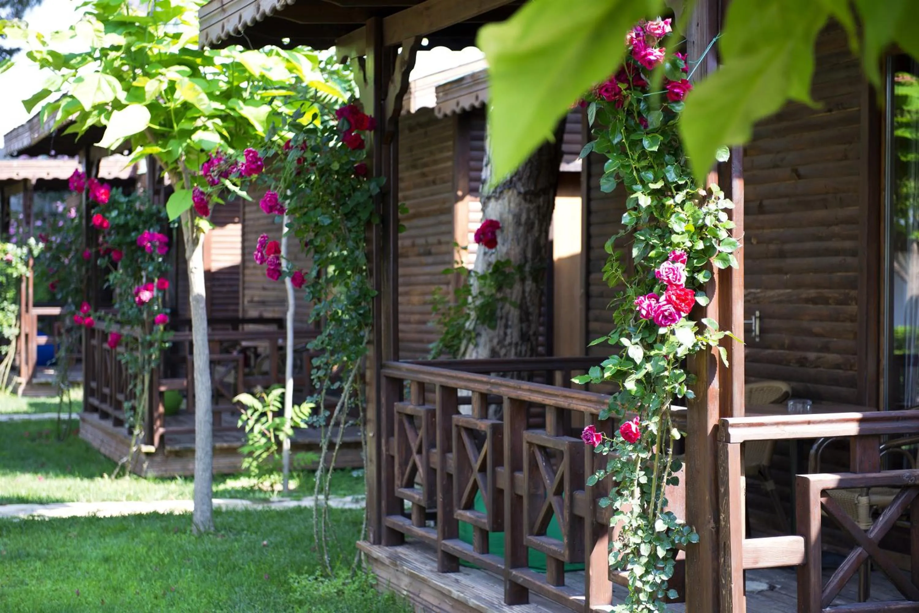 Day in Flora Garden Beach Hotel - Adults Only 16 Plus - Couples Concept