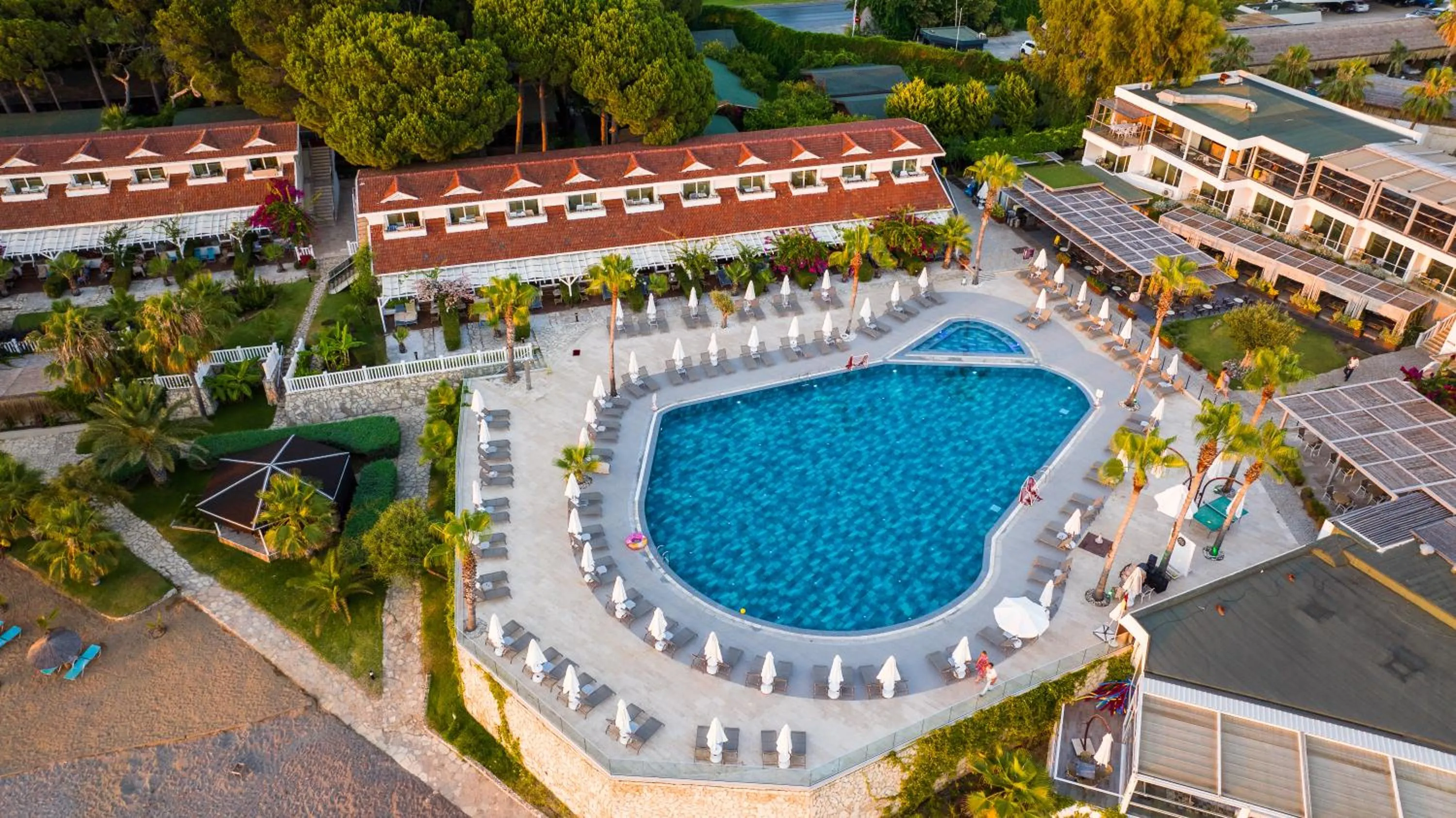 Swimming pool in Flora Garden Beach Hotel - Adults Only 16 Plus - Couples Concept