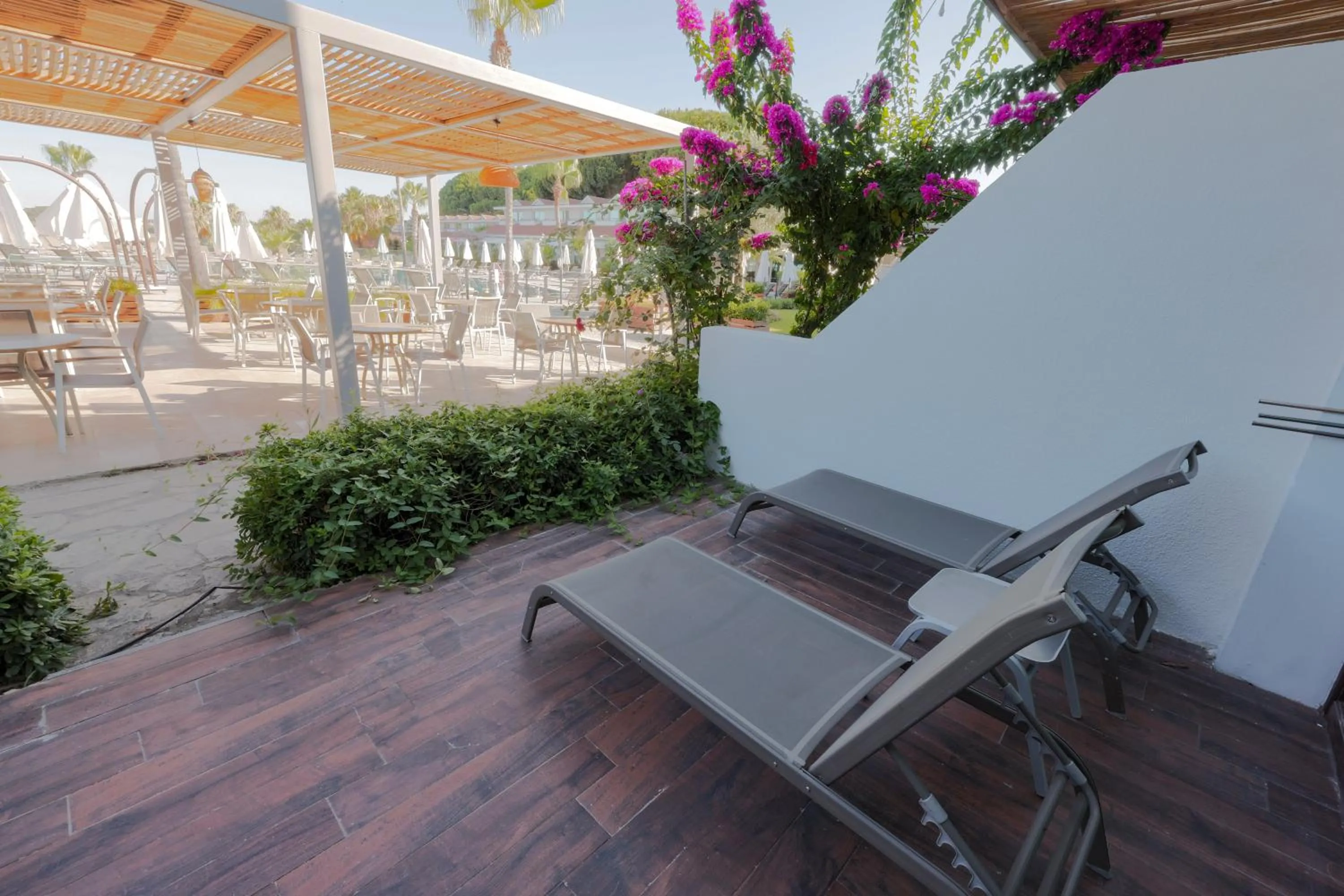 Balcony/Terrace in Flora Garden Beach Hotel - Adults Only 16 Plus - Couples Concept