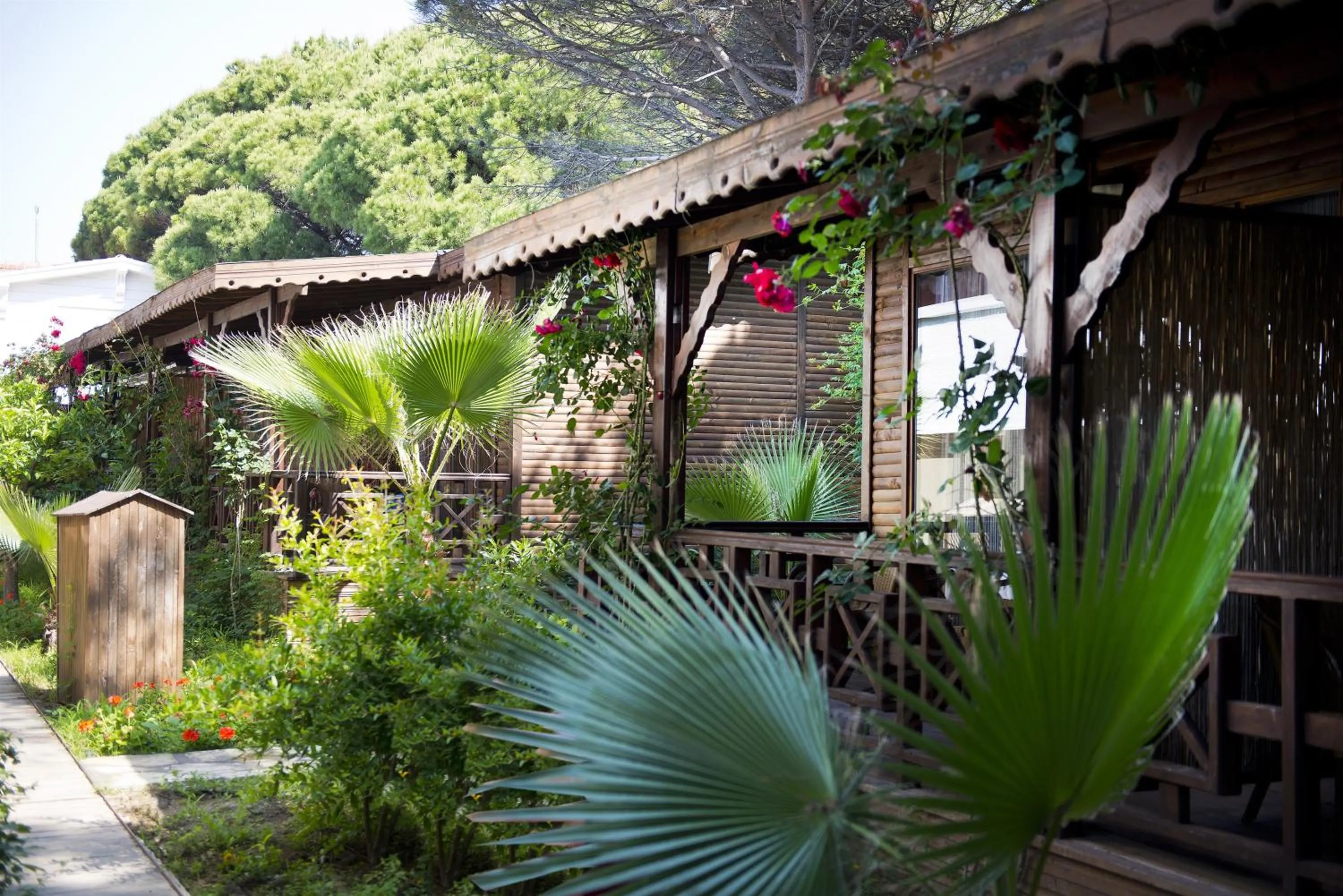 Day in Flora Garden Beach Hotel - Adults Only 16 Plus - Couples Concept