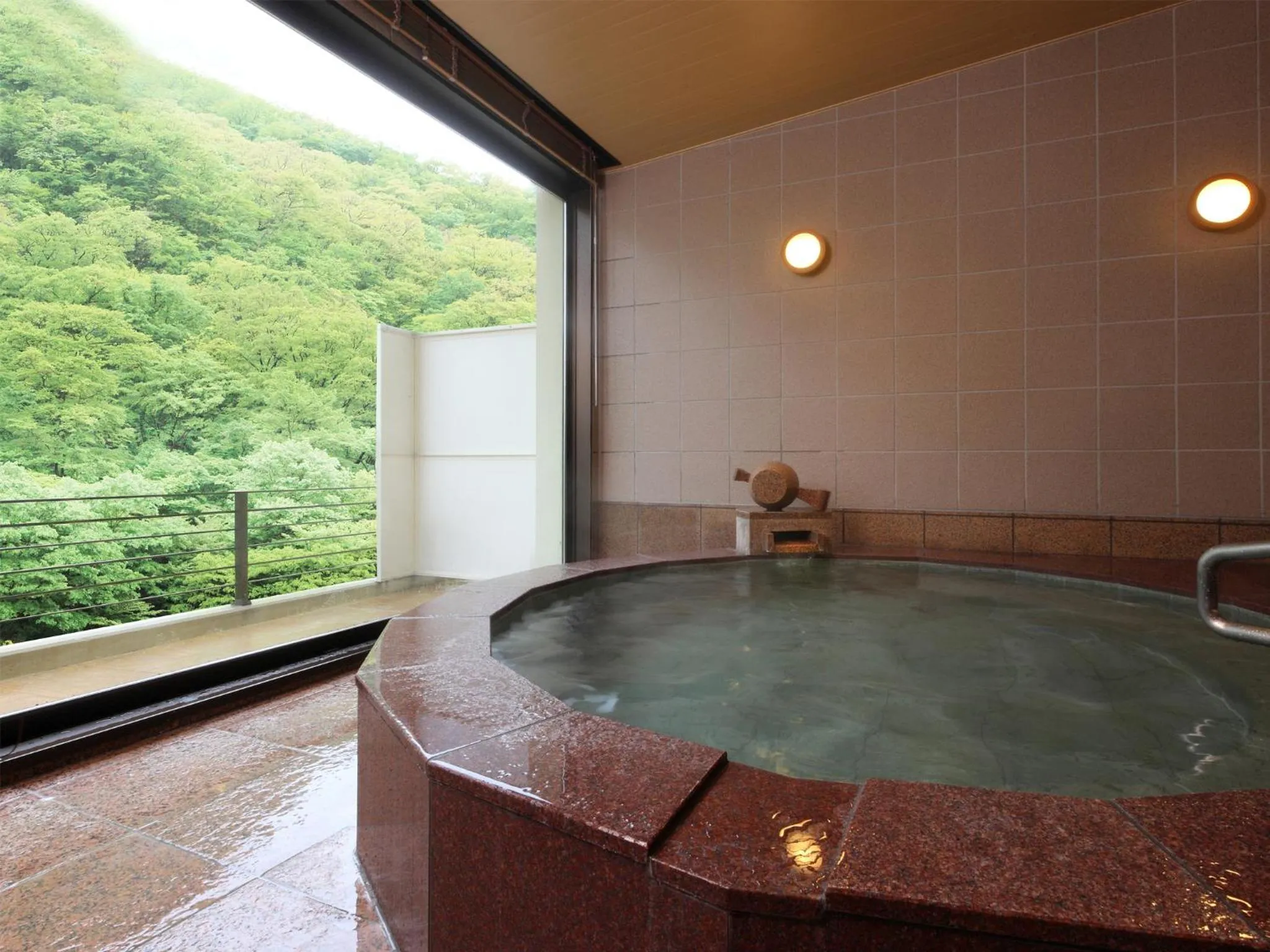Hot Spring Bath in Asaya