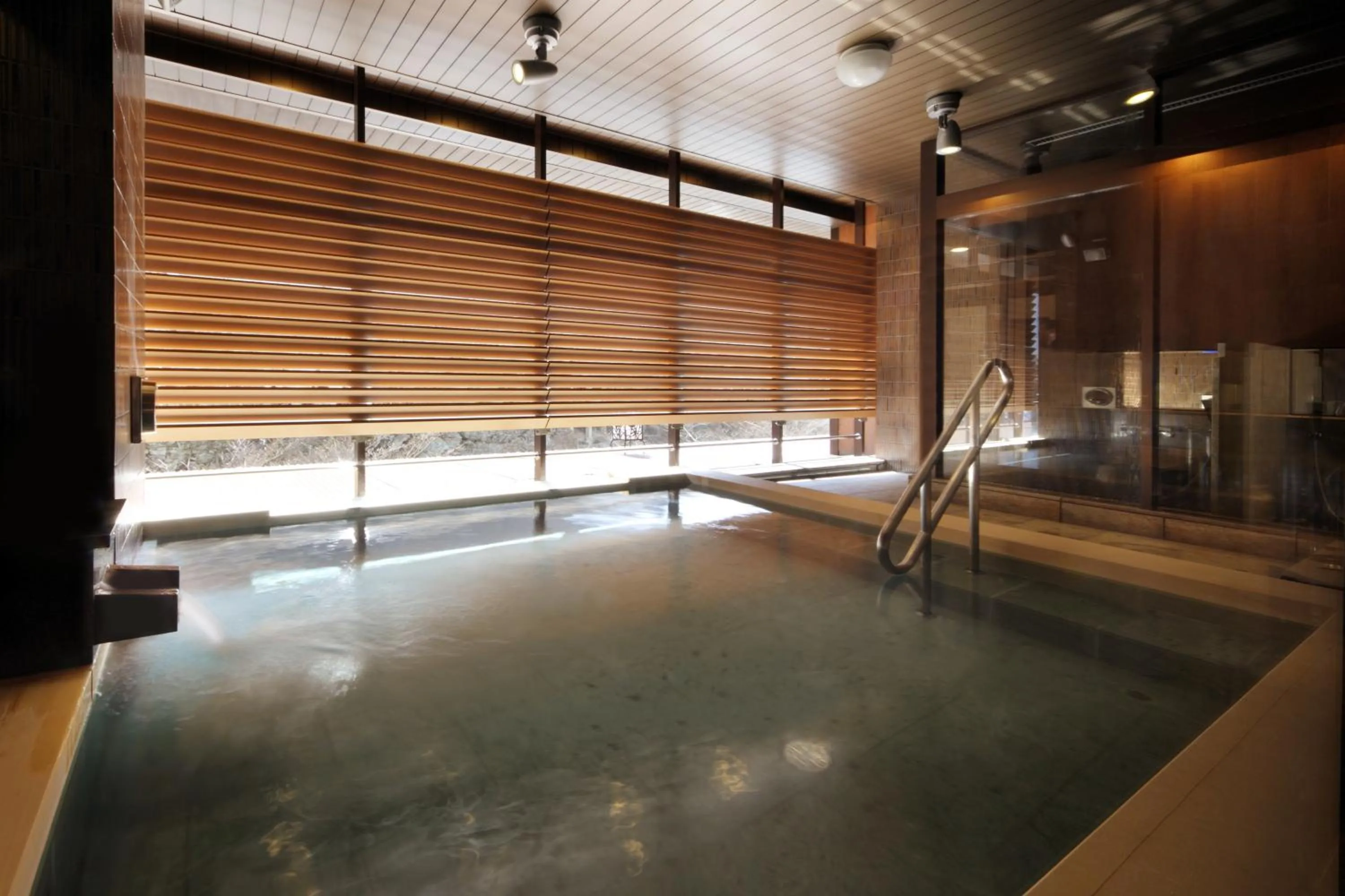 Hot Spring Bath in Asaya