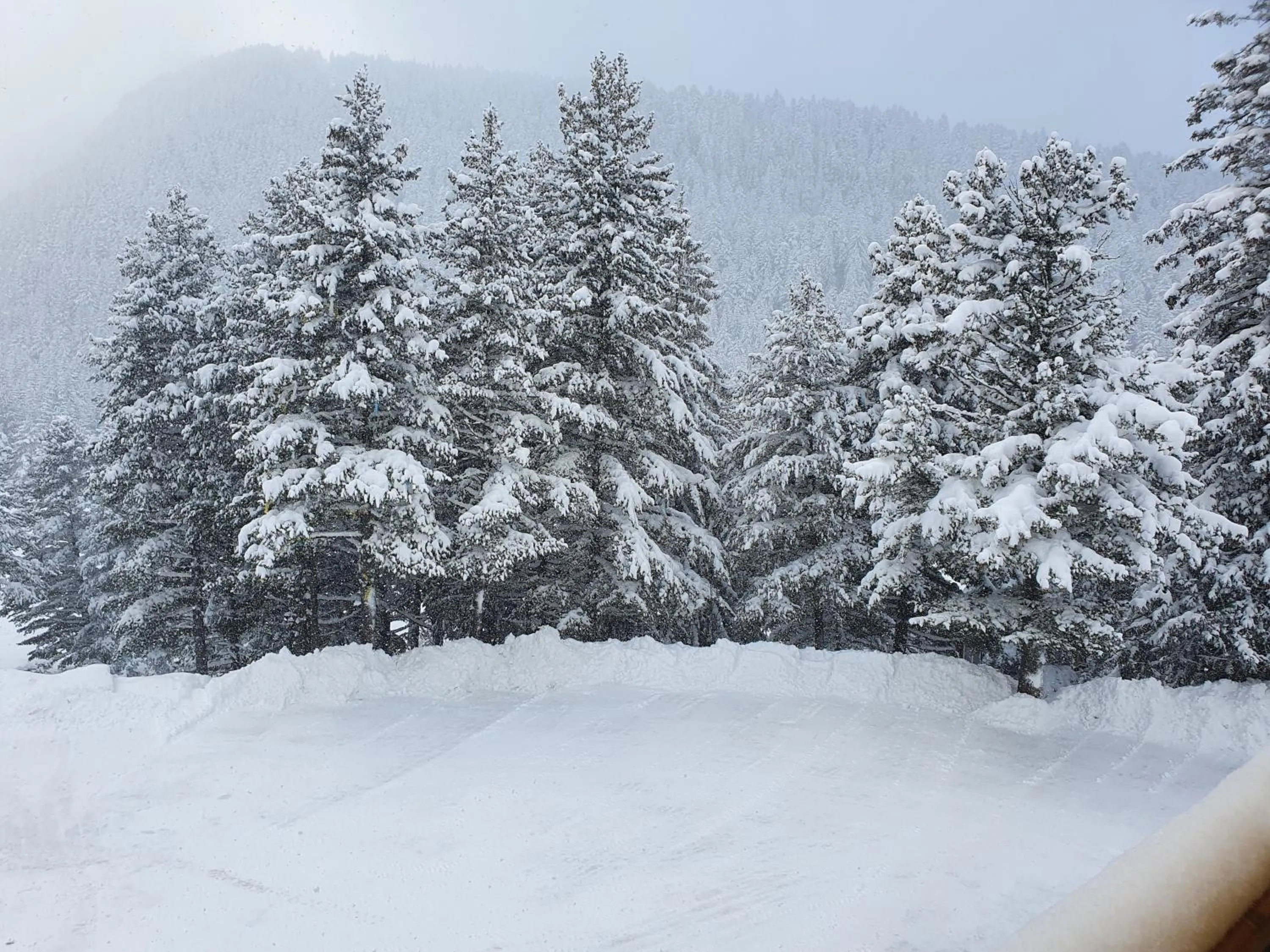 Natural landscape in Hotel Malyovitsa