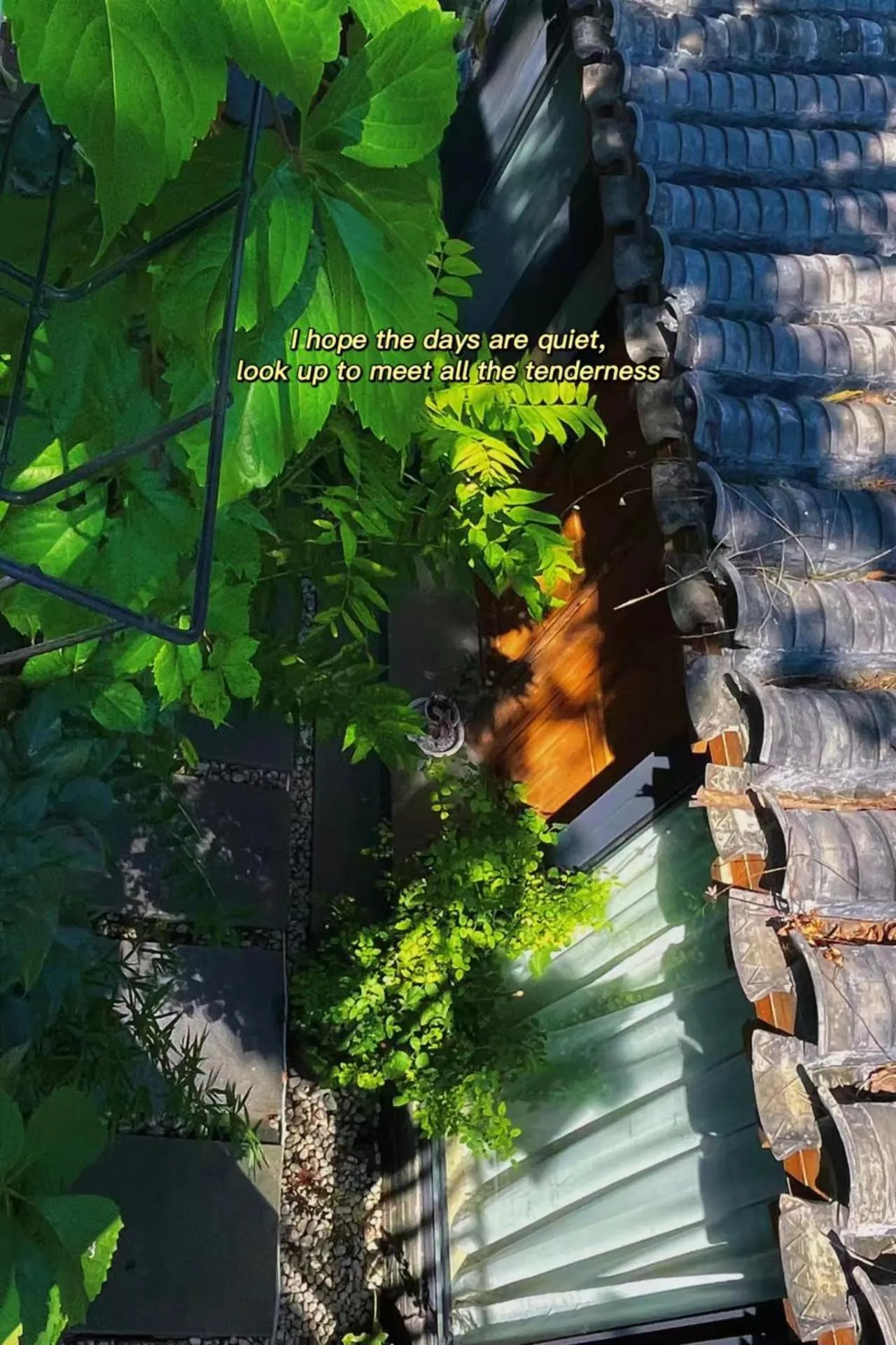 Property building in Templeside Beijing