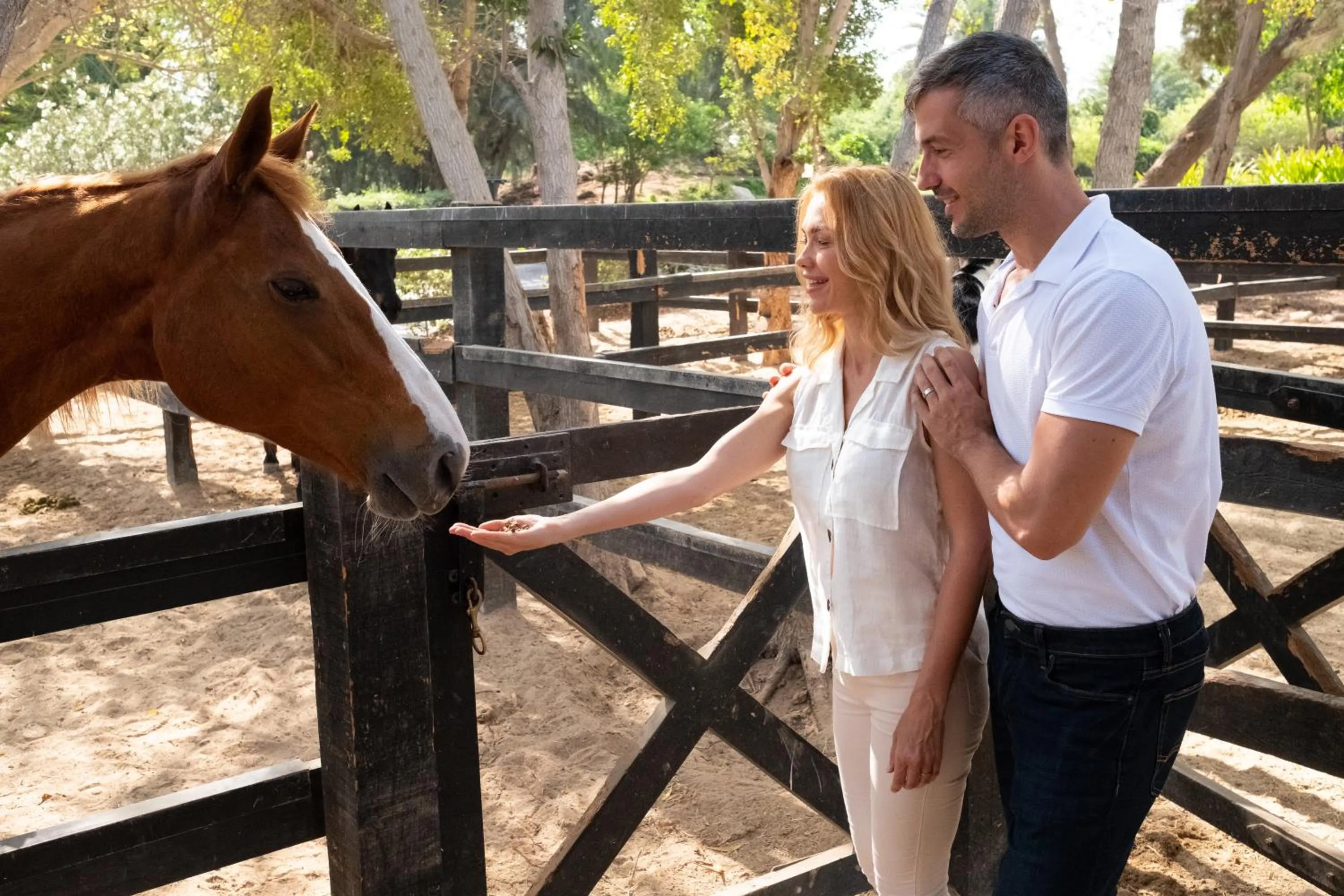 Horse-riding in JA Beach Hotel, Dubai