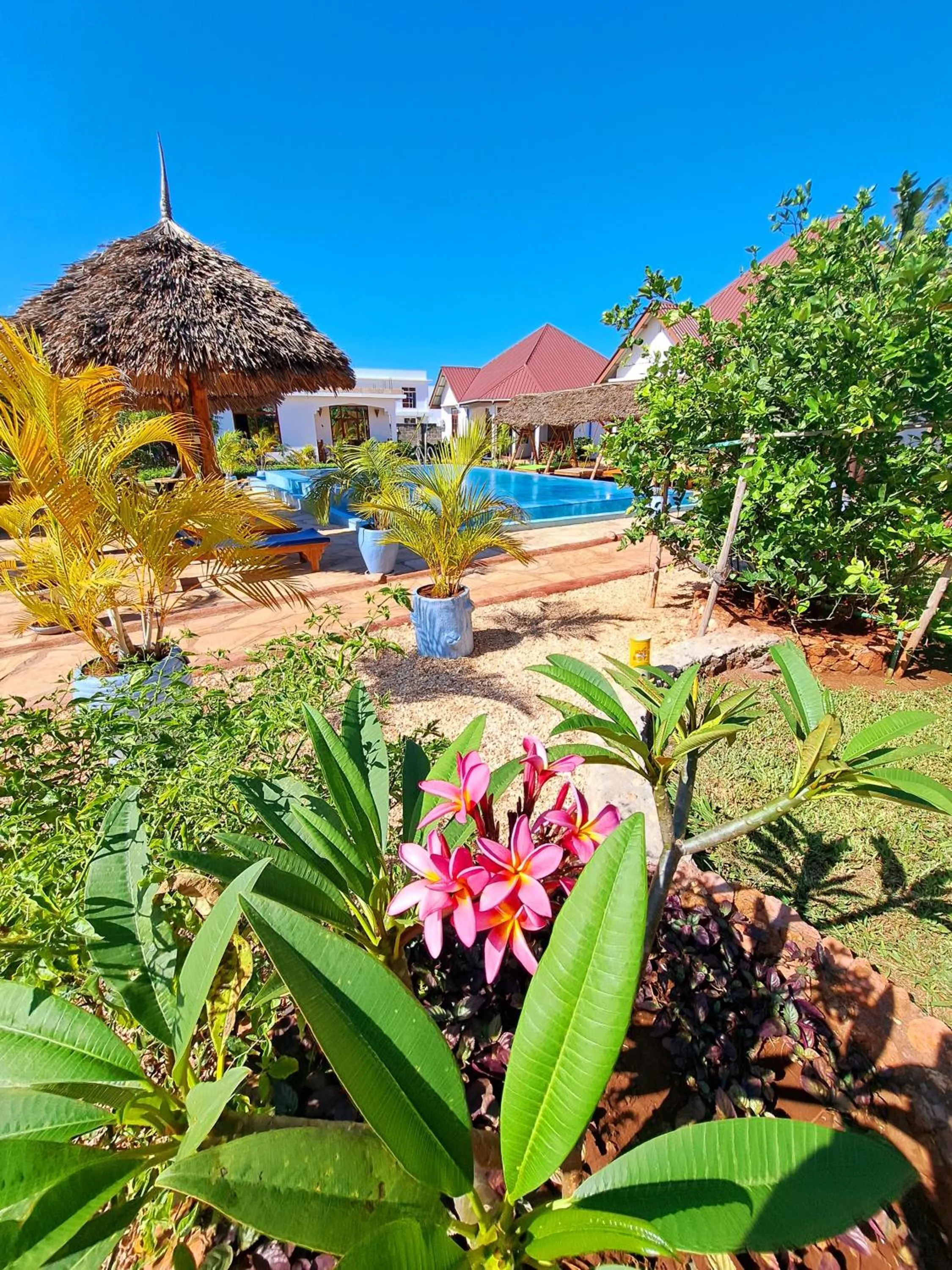 Swimming pool in Mimi na wewe villa
