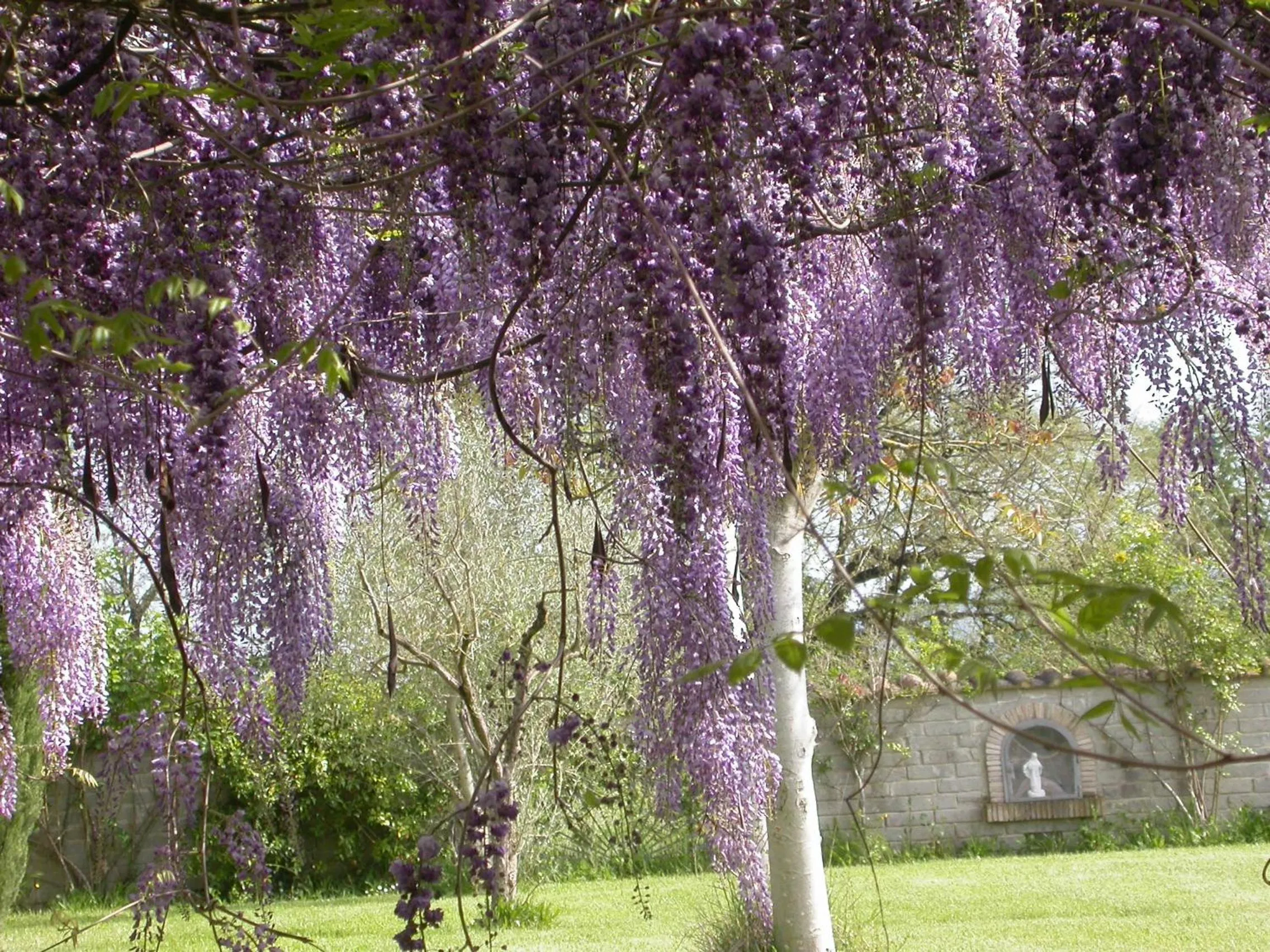 Spring in Casavacanze Sant'Eugenia