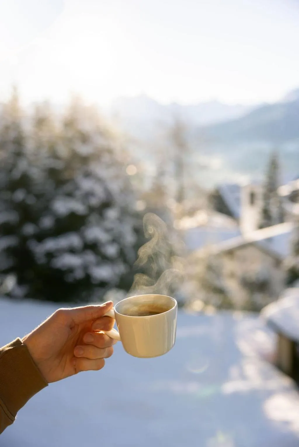 View (from property/room) in Hotel Valaisia Crans Montana, a Faern Collection Resort