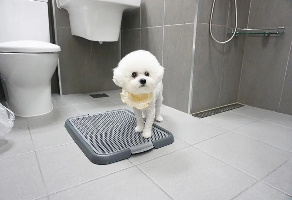 Bathroom in World Sky Residence Hotel