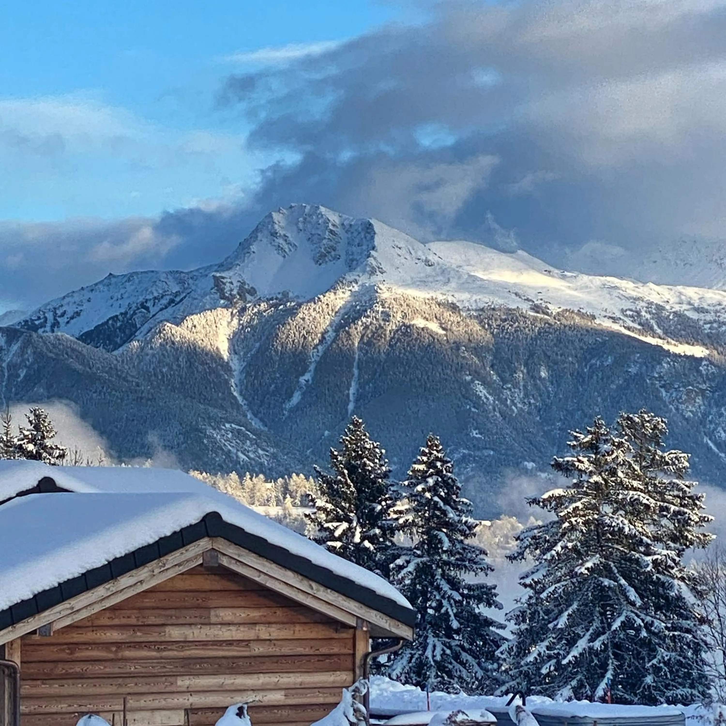 View (from property/room) in Woodland Village Anzère