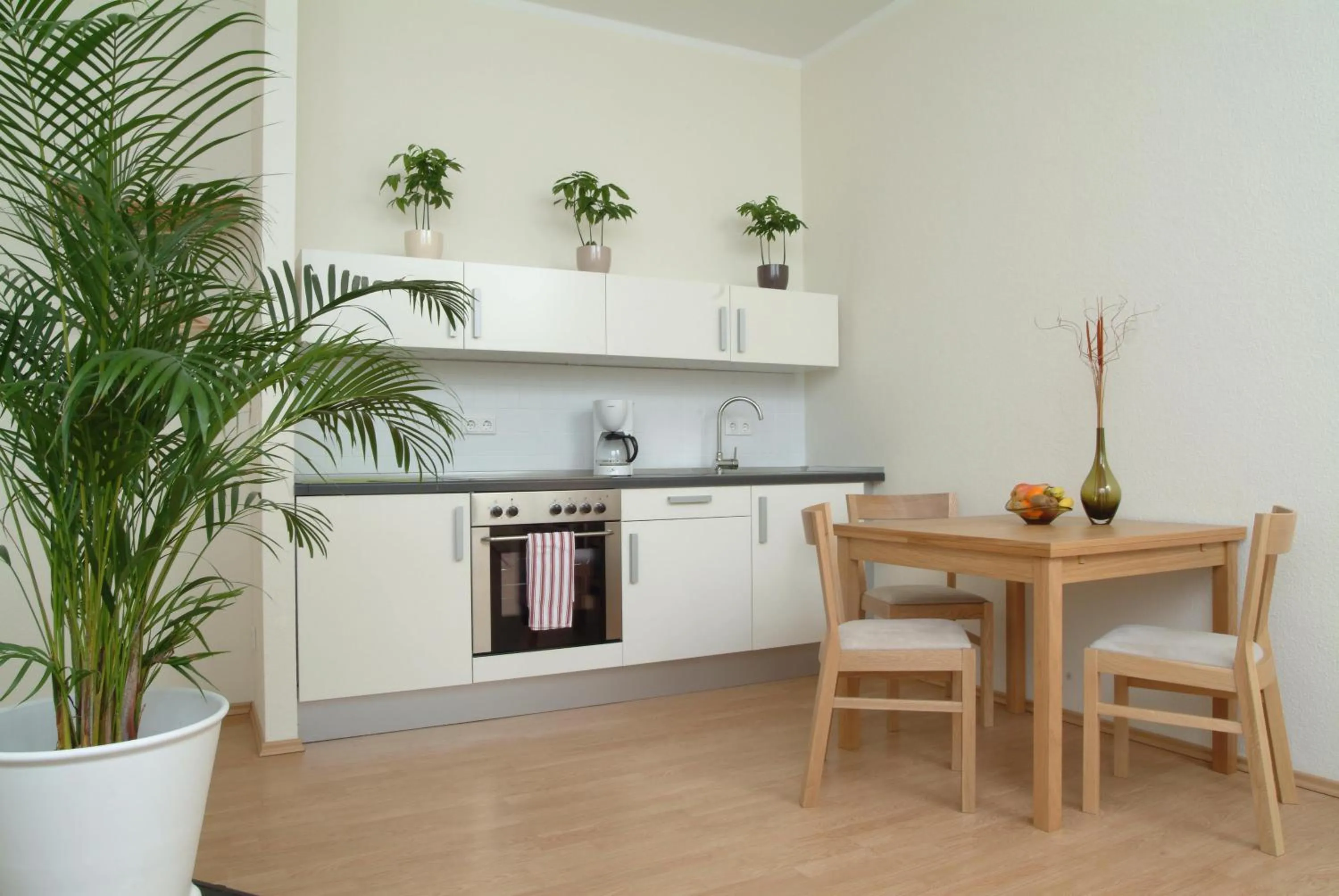 Kitchen or kitchenette in Aparthotel am Zwinger