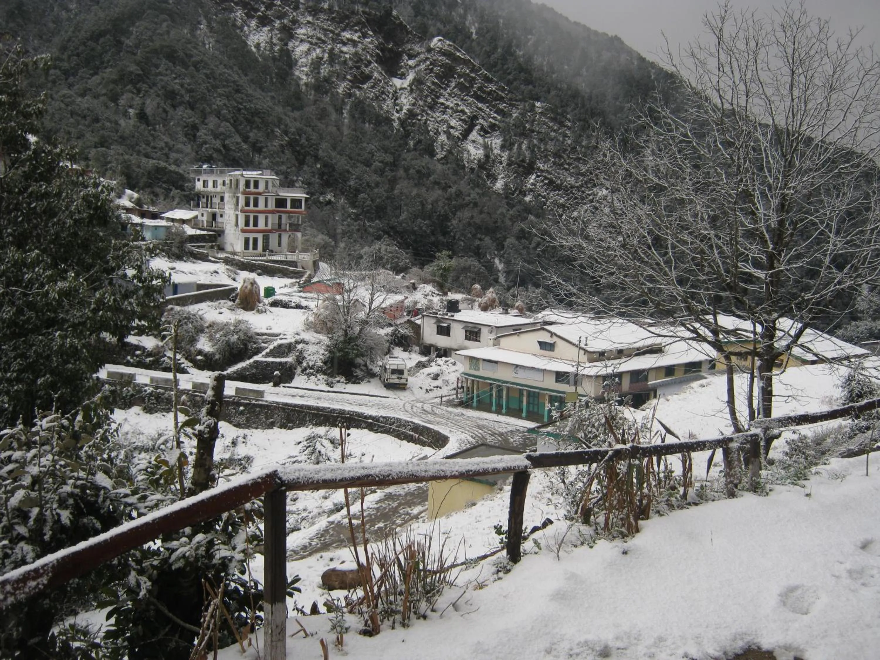 Janardan Resort Pangot Nainital