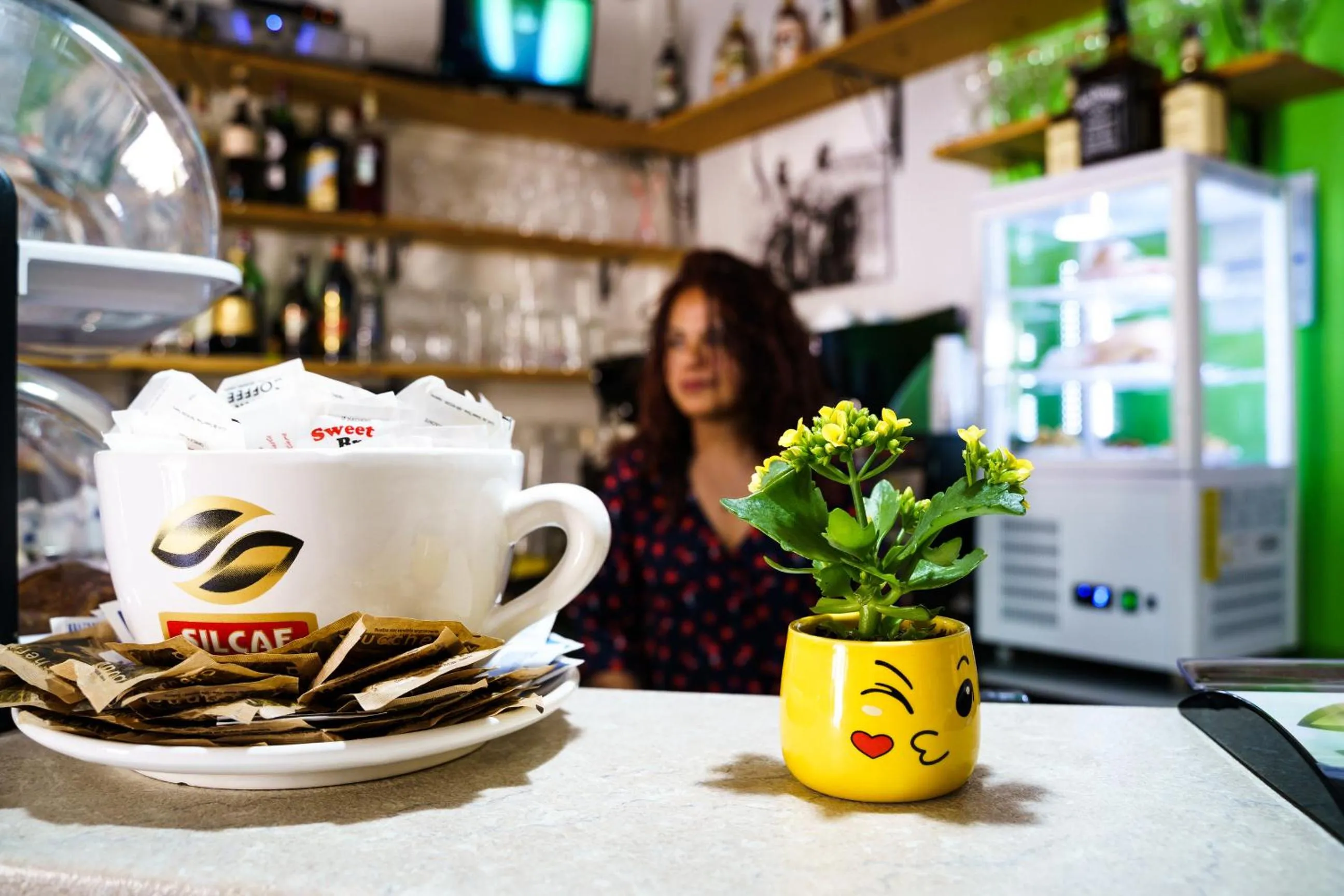 Property building in Sansi´s Sapri Camere