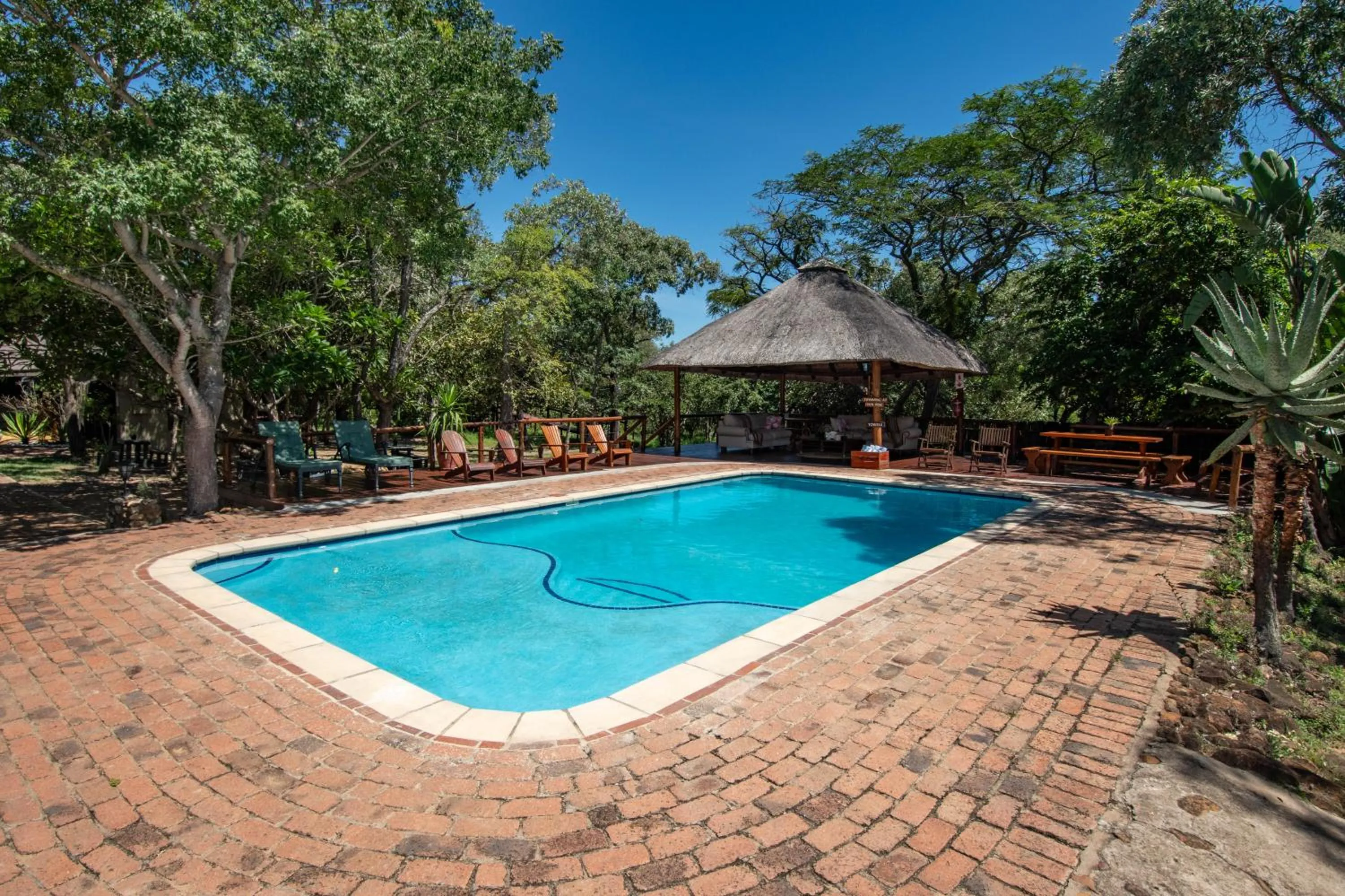 Swimming pool in Thornhill Safari Lodge