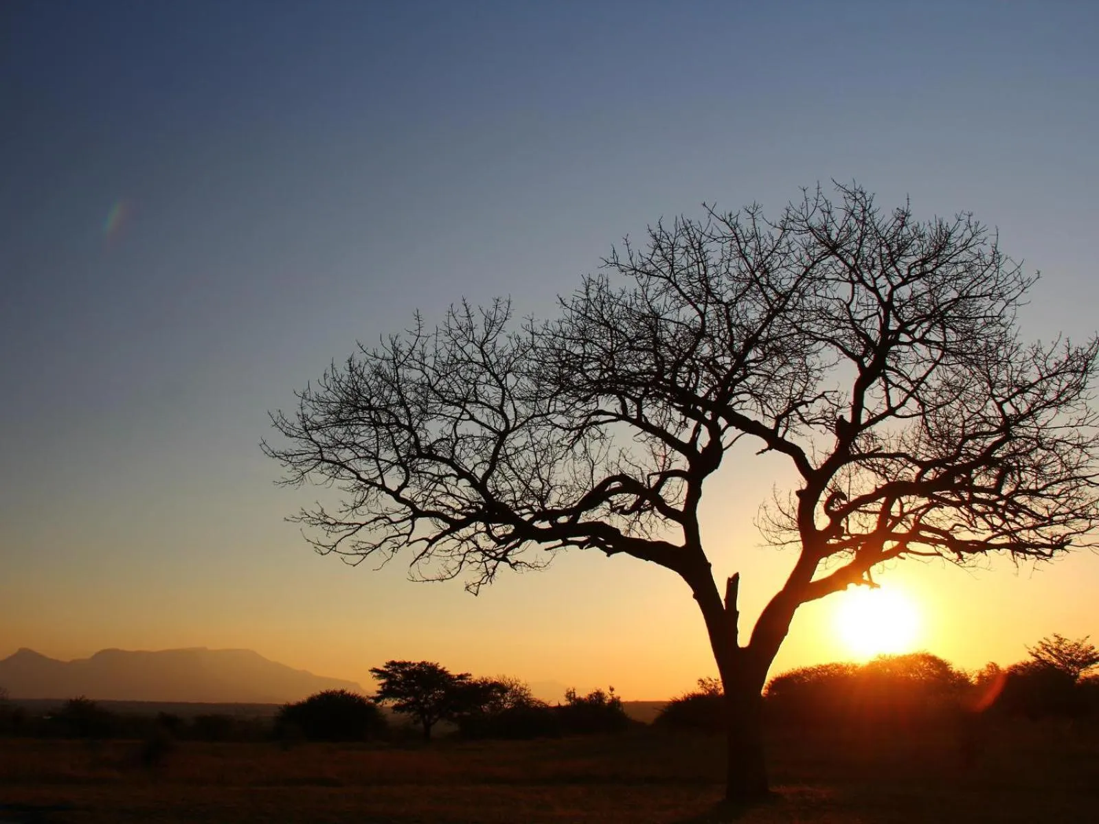 View (from property/room) in Thornhill Safari Lodge