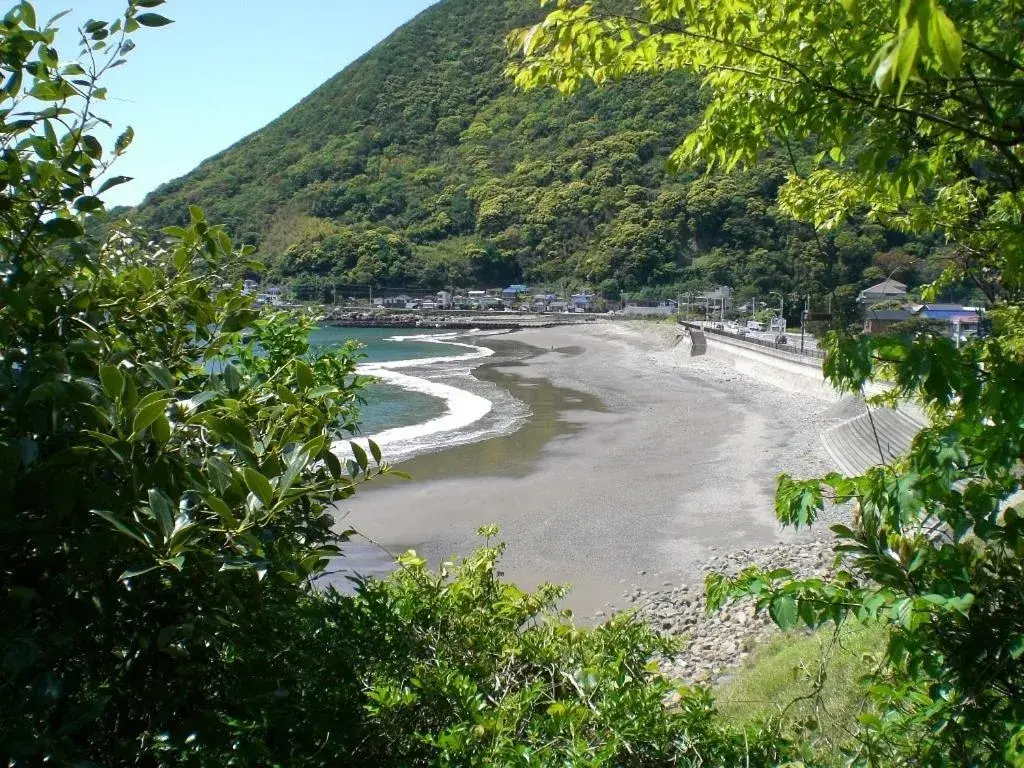 View (from property/room) in Gallery Court Ofa Atu View (from property/room) in Gallery Court Ofa Atu