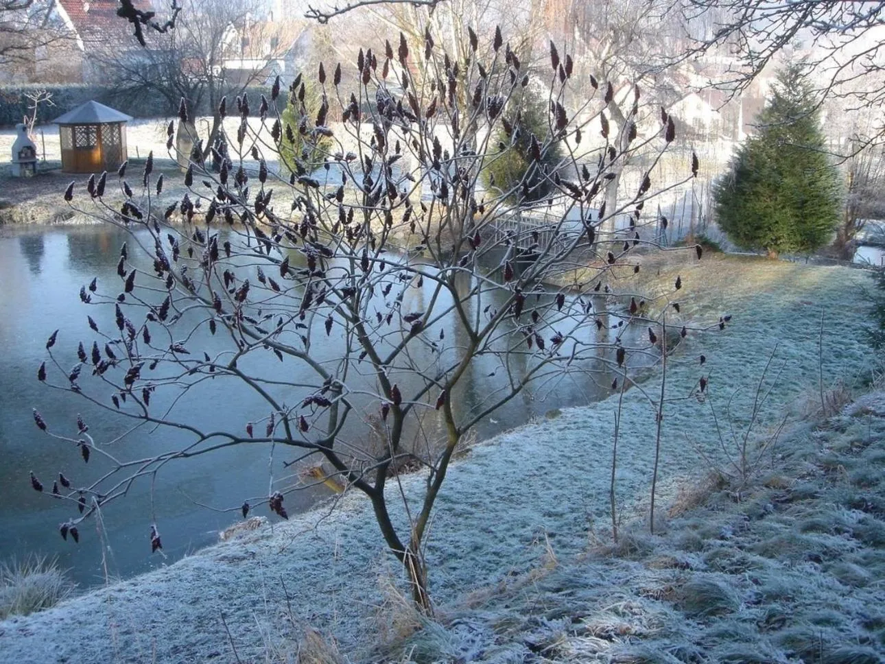 Property building in Appartements Maison Bellevue