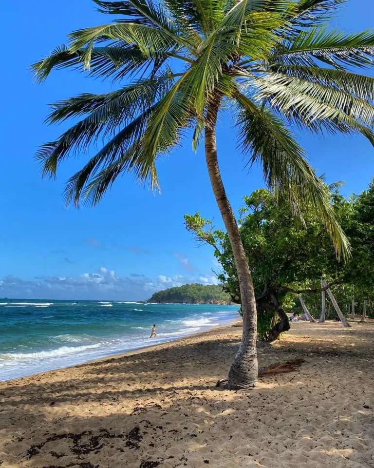Résidence de la baie 2 - BLEU SOLEIL TARTANE