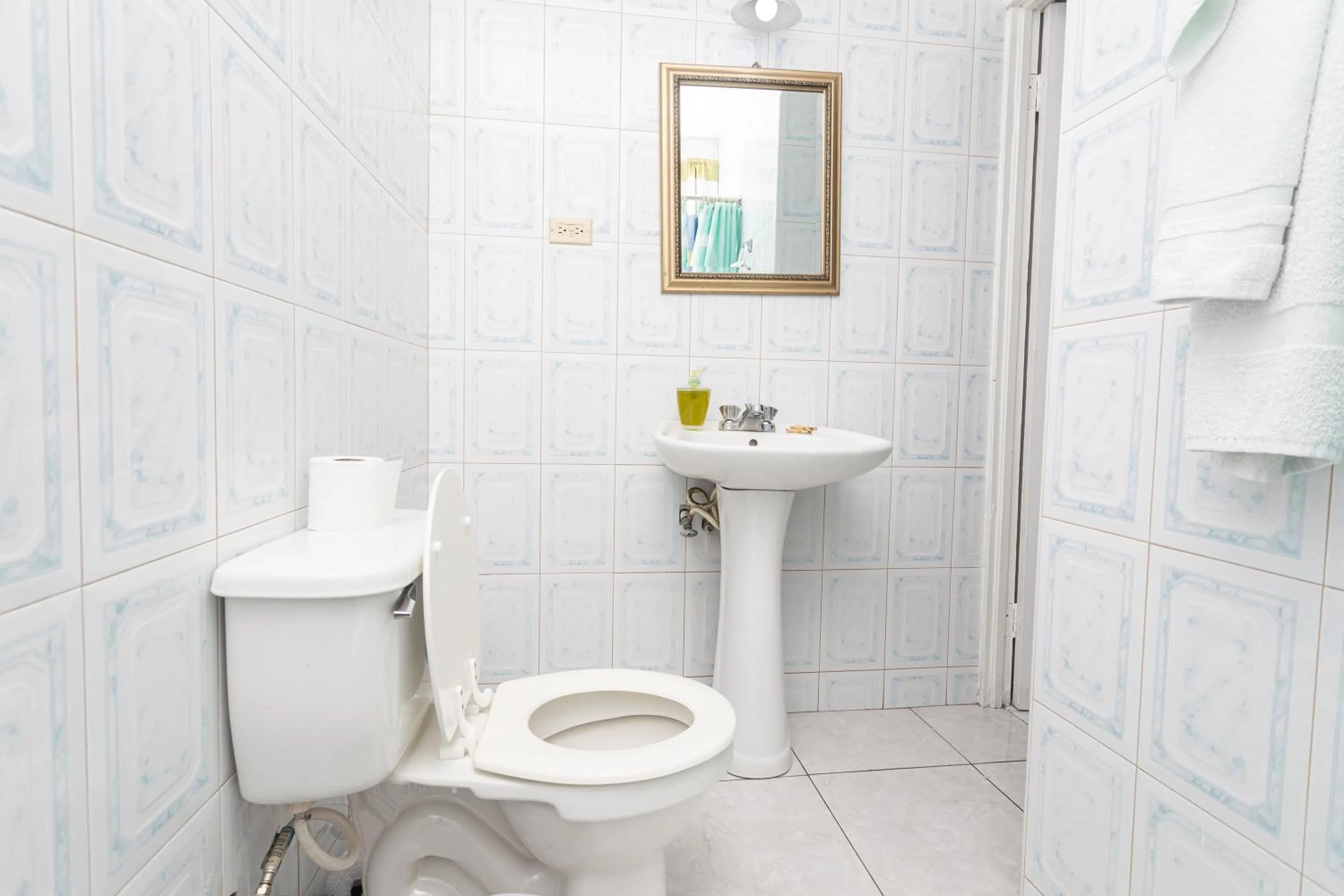 Toilet in Caribic House