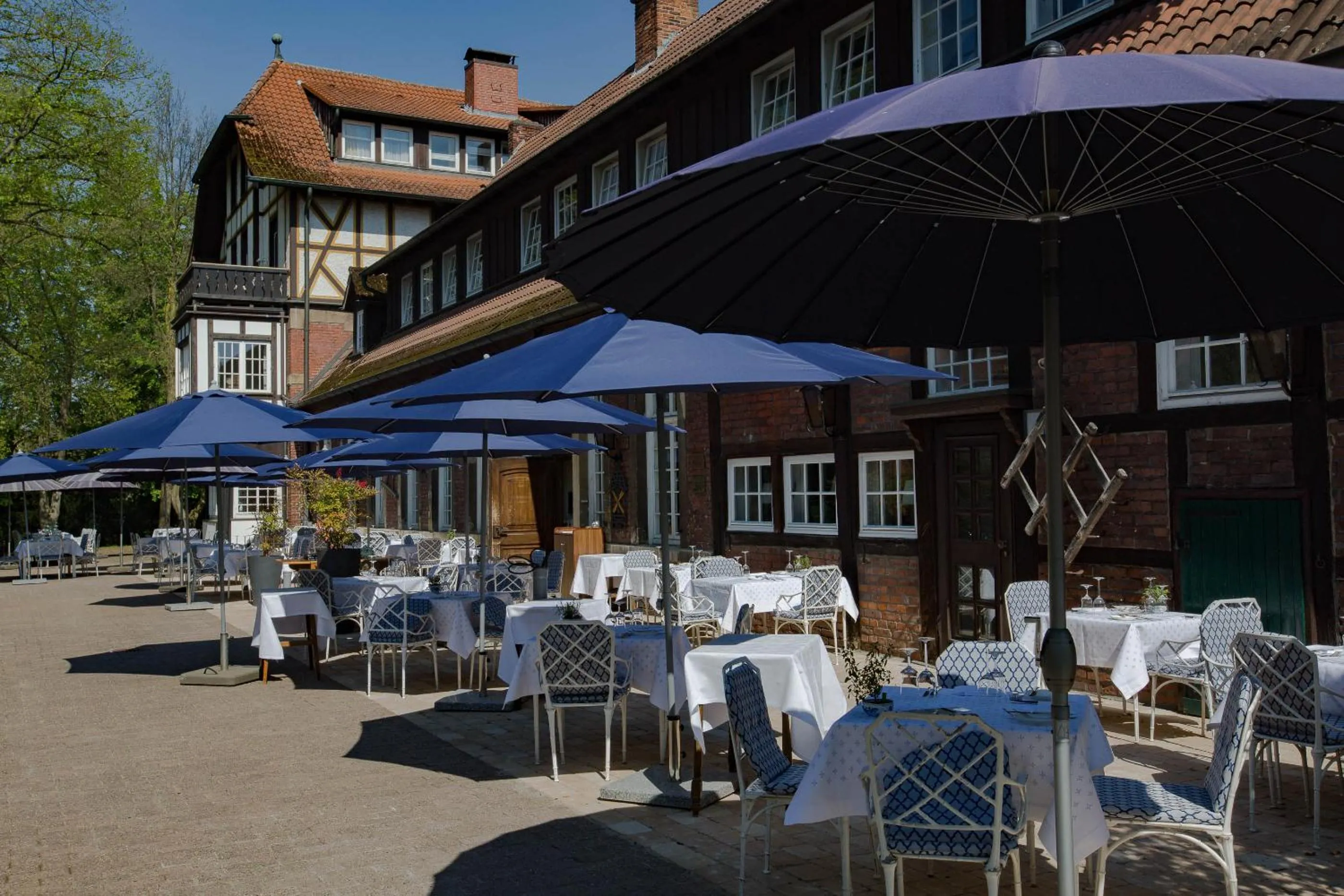 Restaurant/places to eat in Romantik Hotel Hof zur Linde