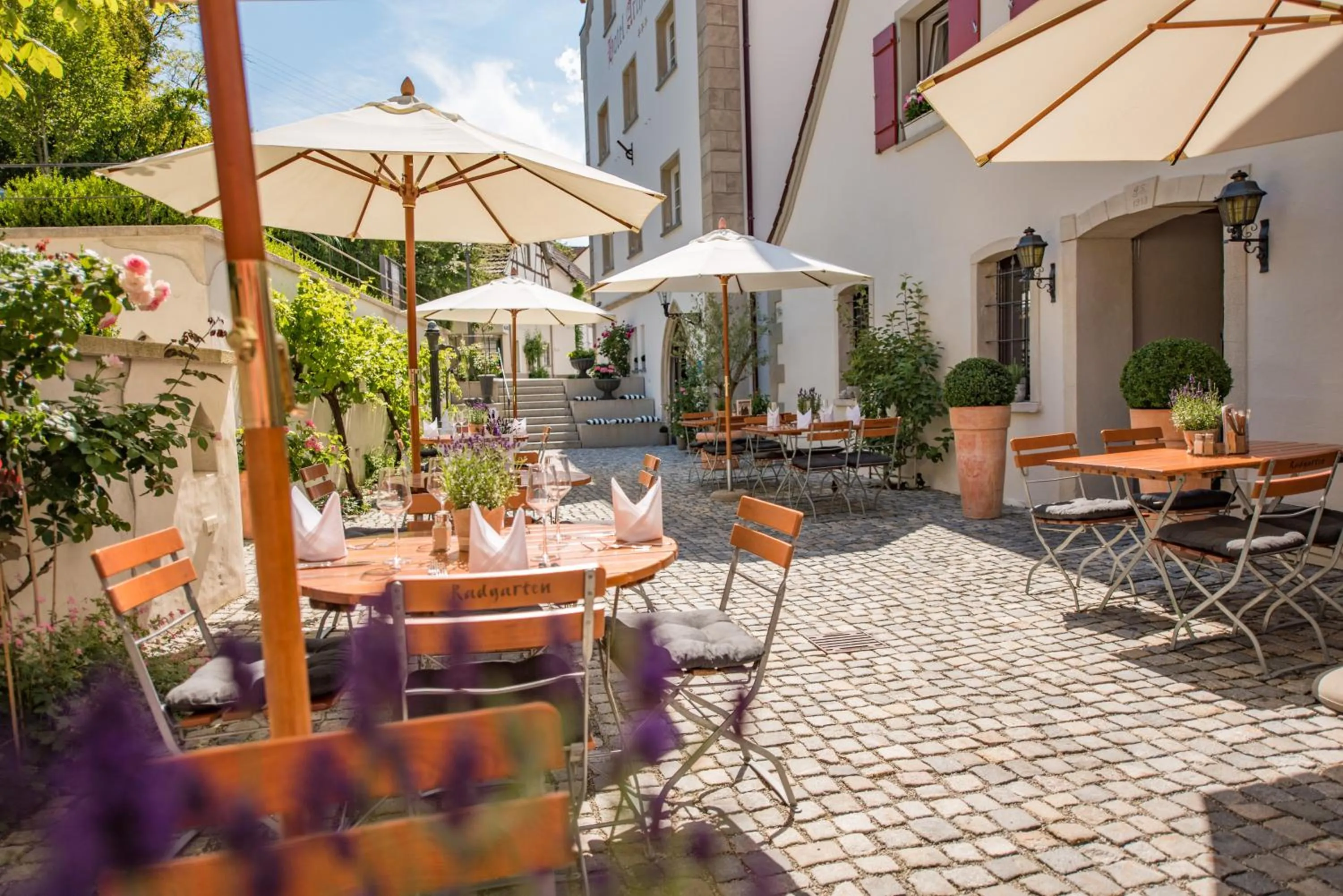 Restaurant/places to eat in Hotel Arthus