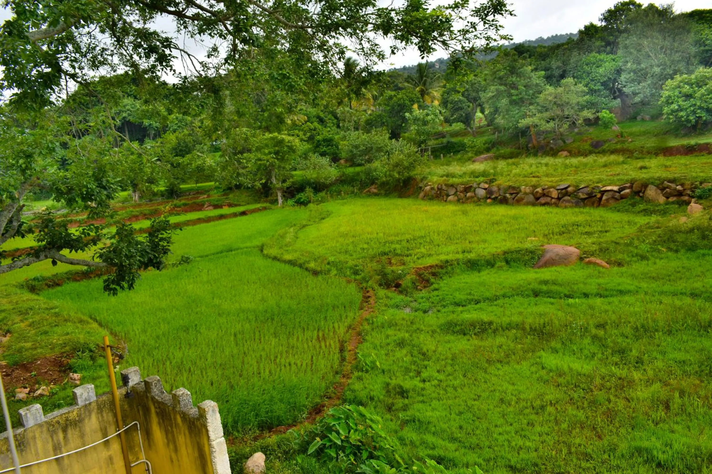 Nearby landmark in Hill Fort Hotel And Resorts Yelagiri Hills