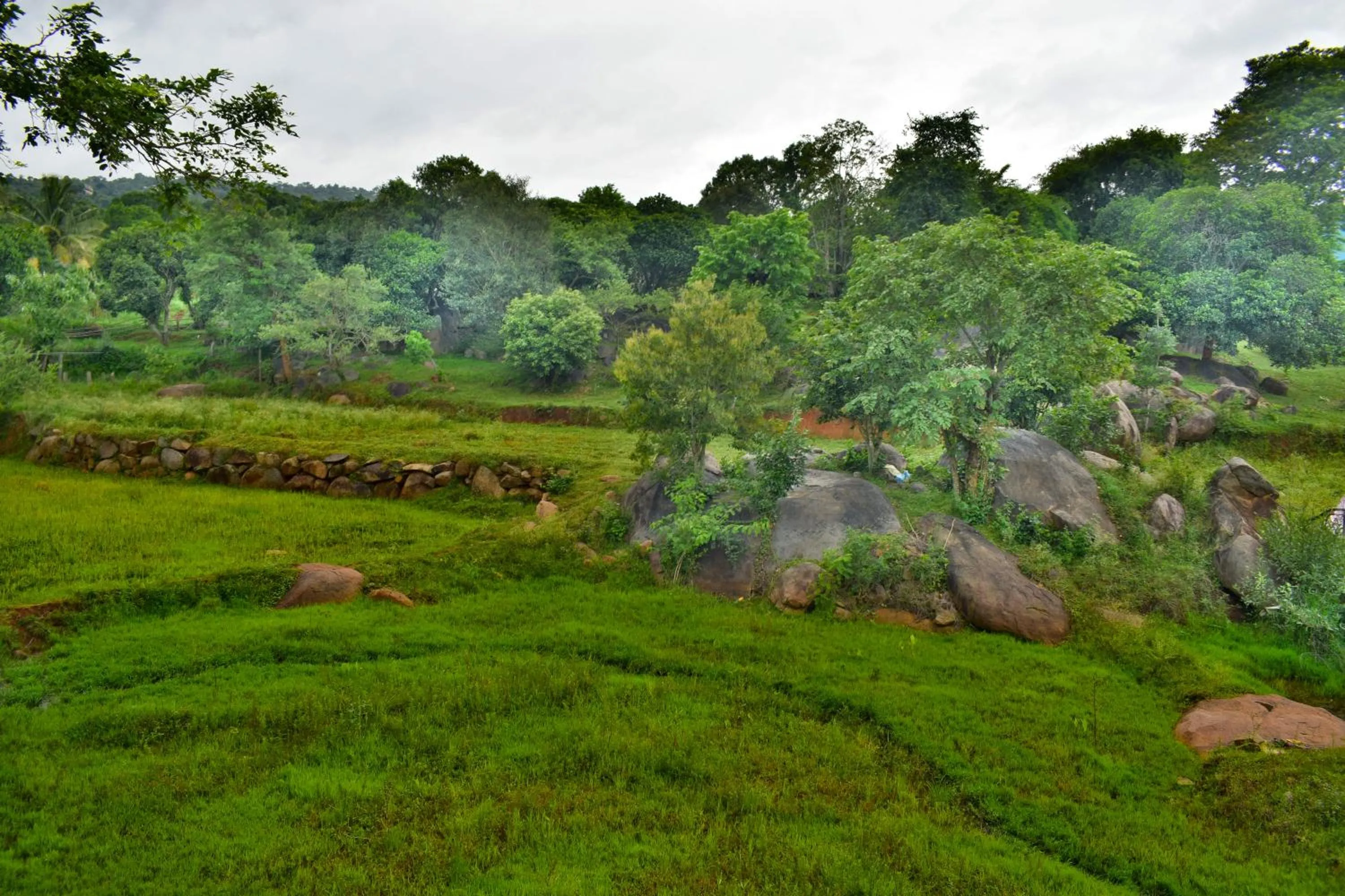 Natural landscape in Hill Fort Hotel And Resorts Yelagiri Hills