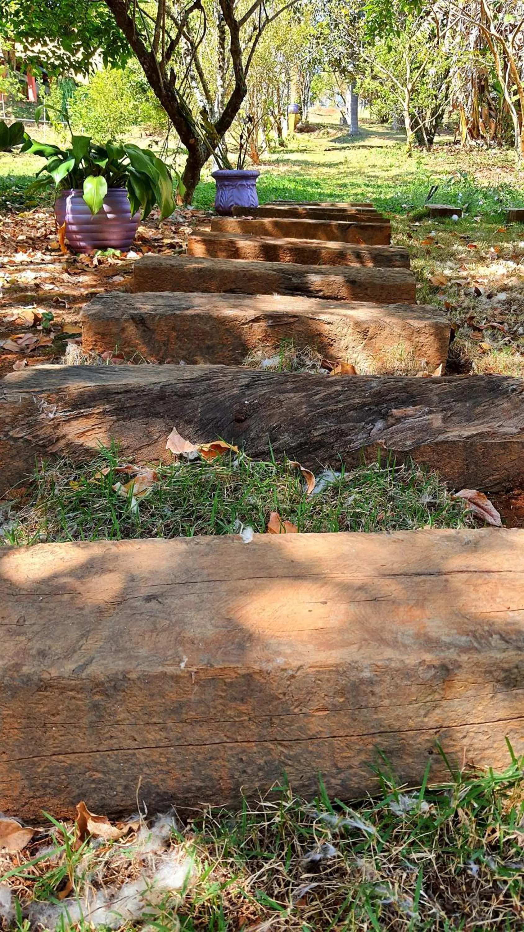 Garden in Sítio Belucci