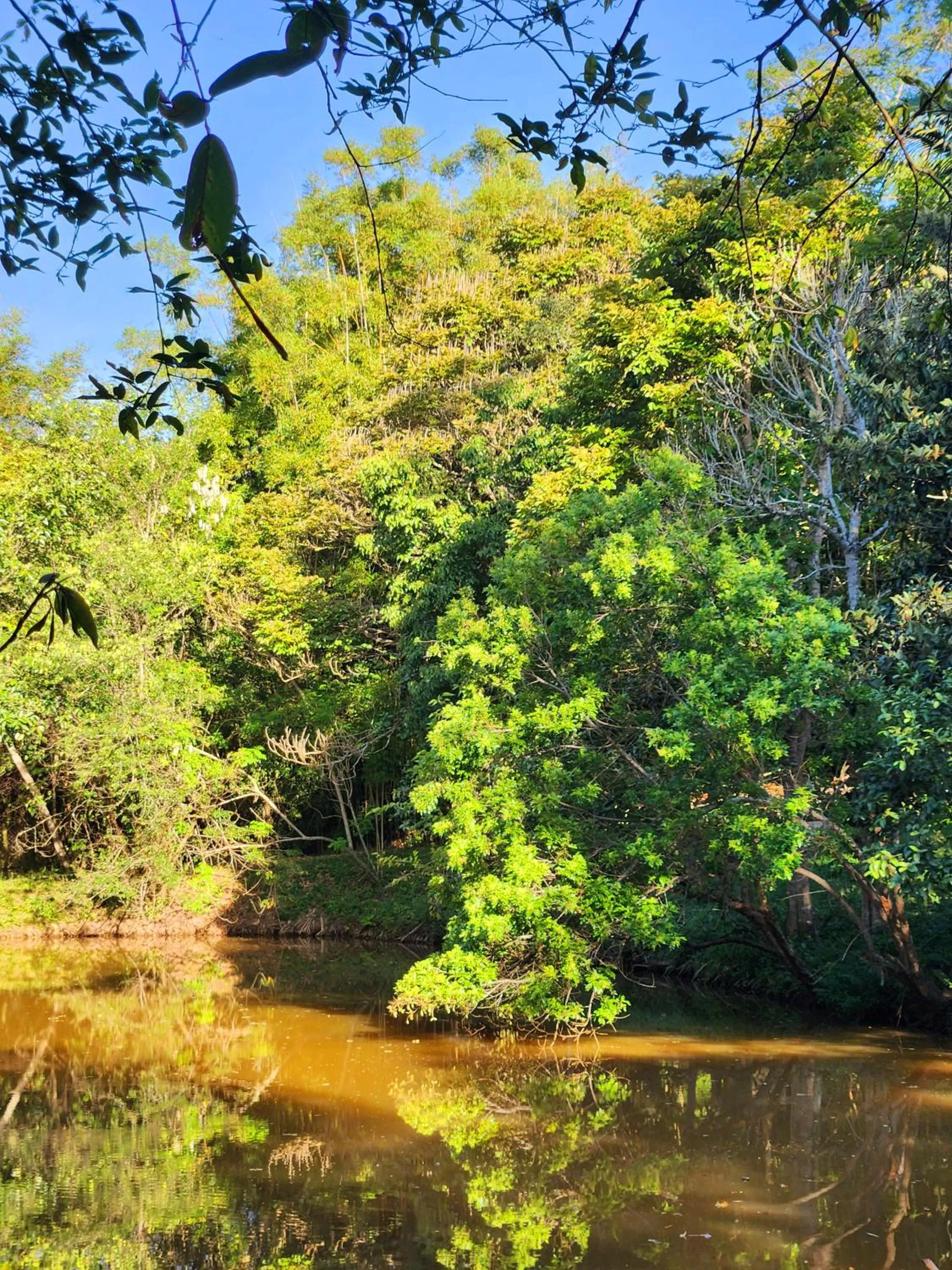 Lake view in Sítio Belucci