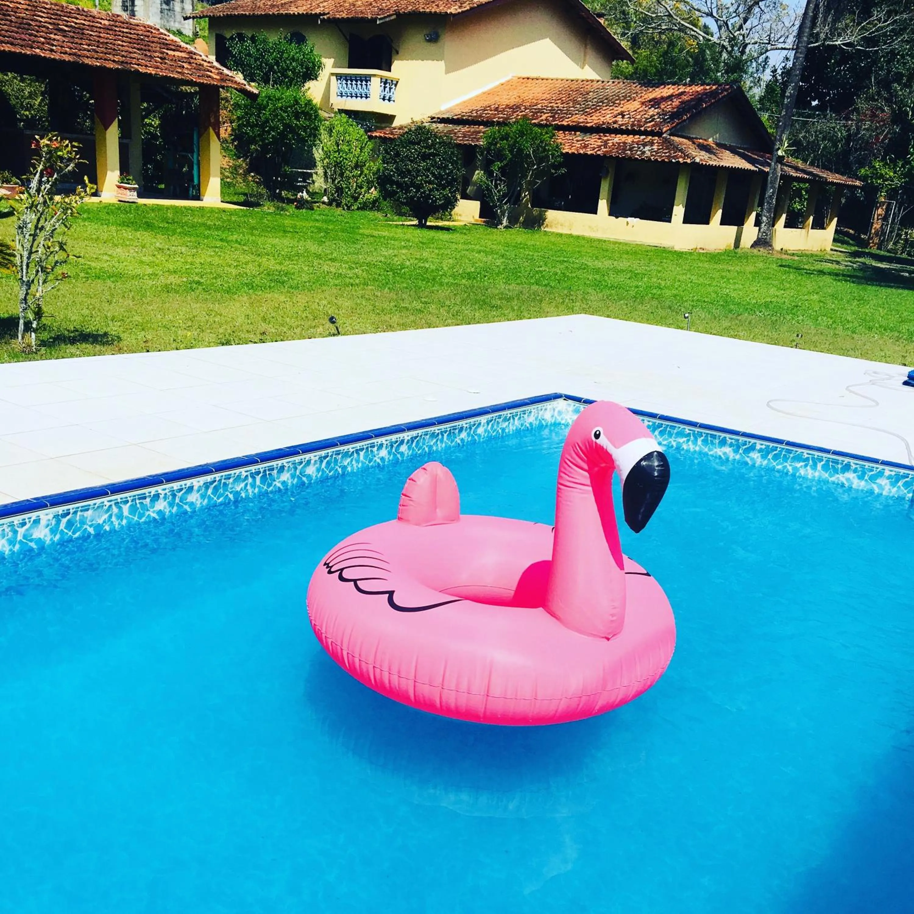 Pool view in Sítio Belucci