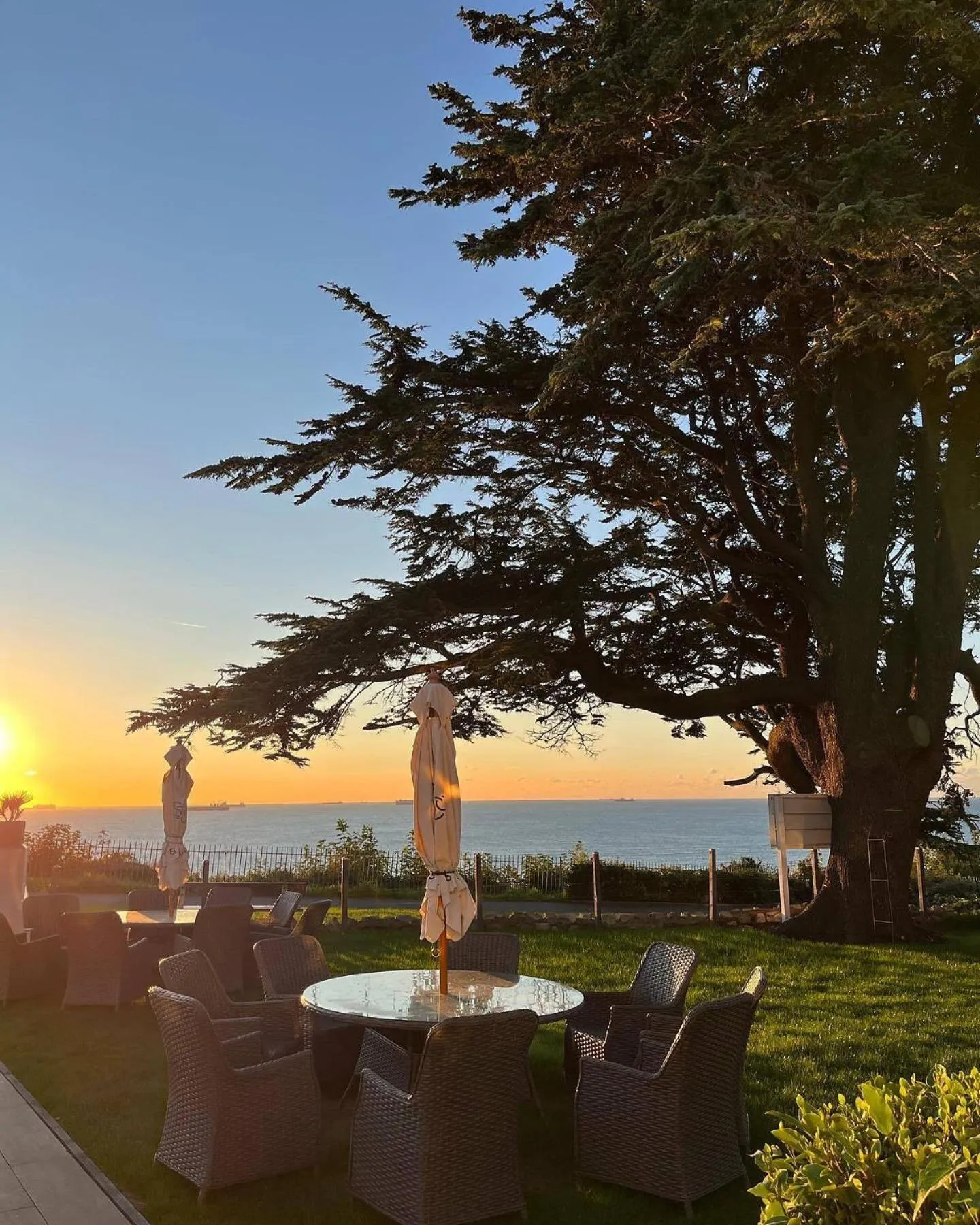 Garden in The Brunswick