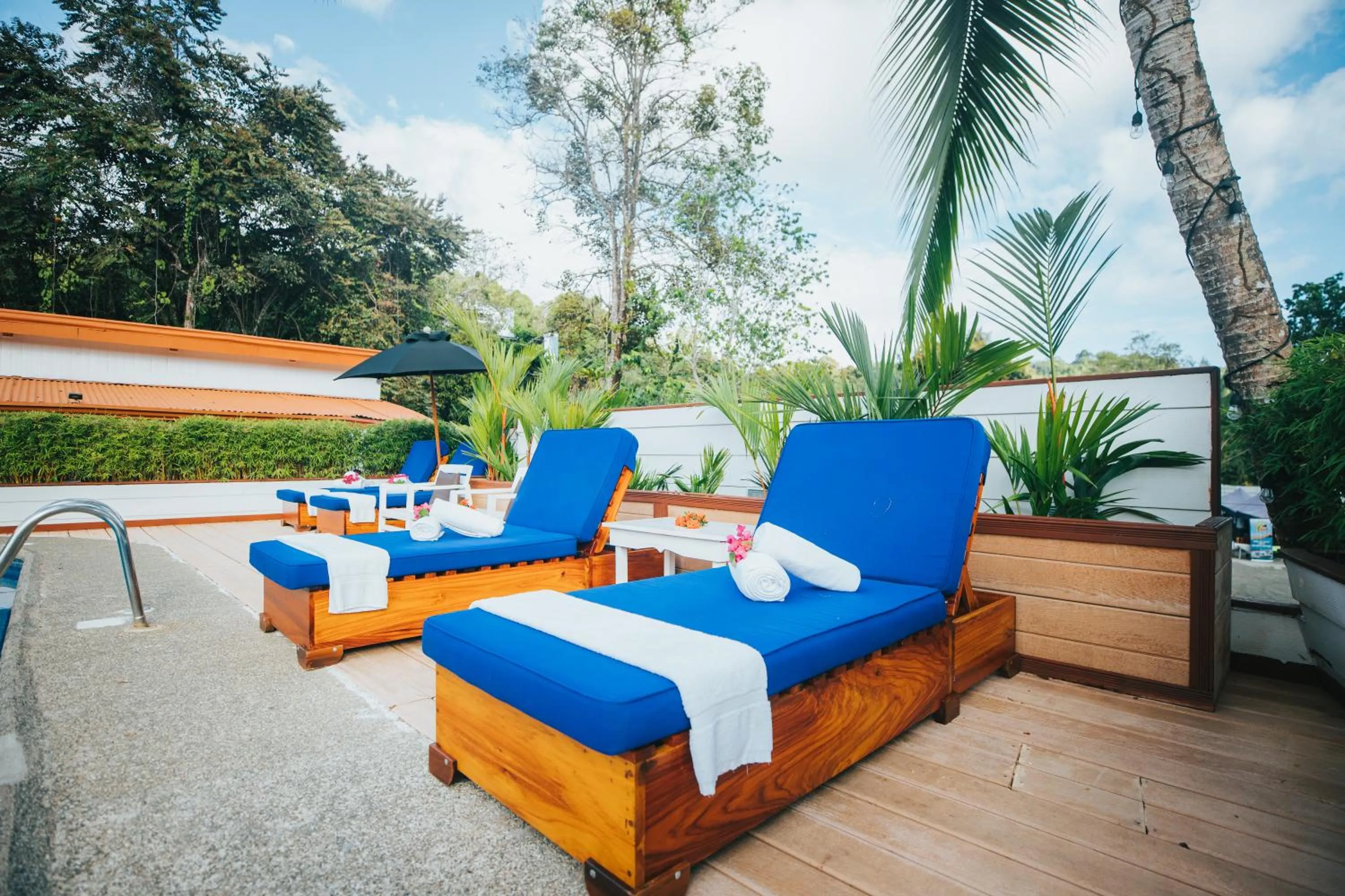 Day in Hotel Villabosque Eco Boutique