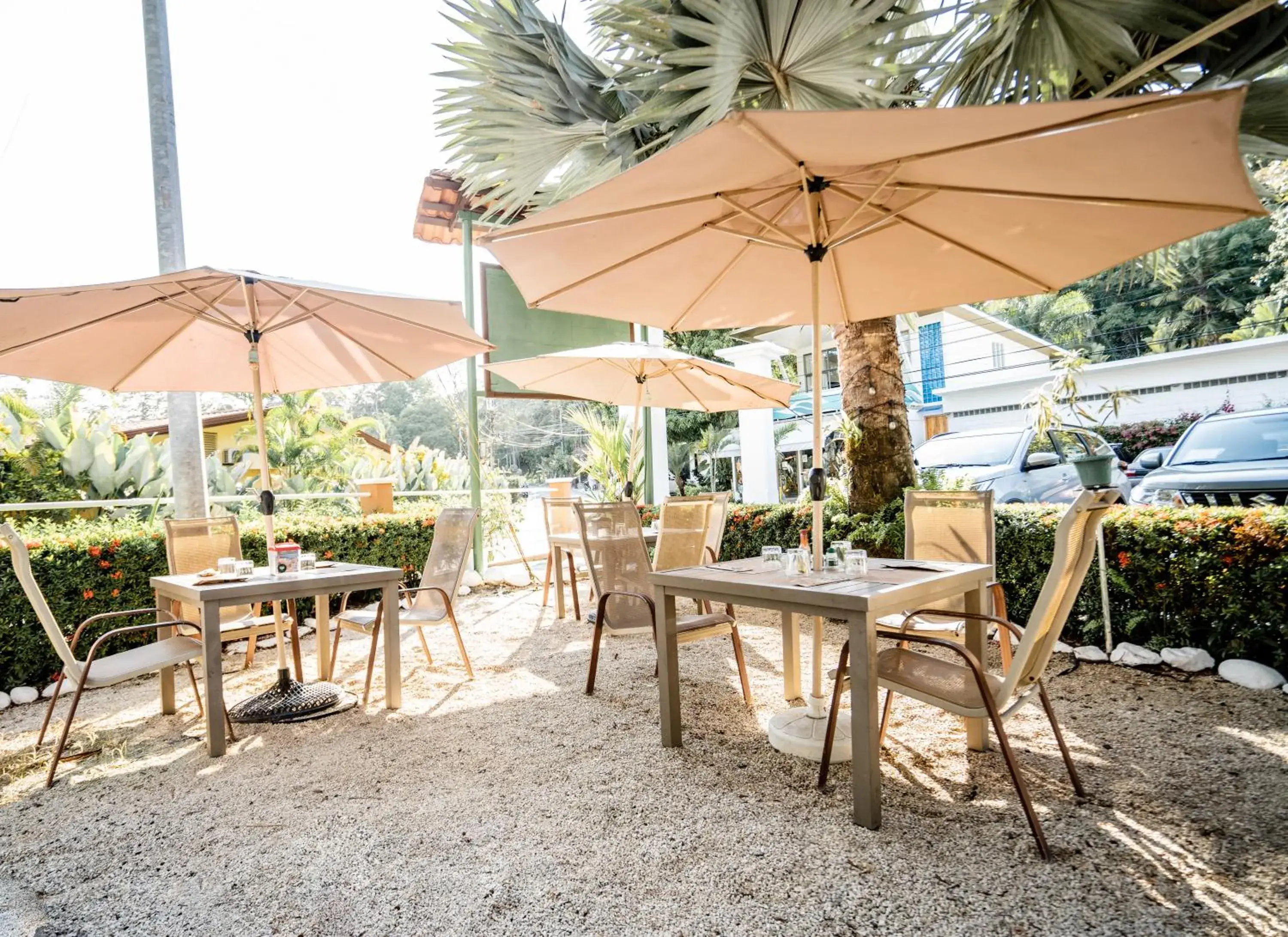 Restaurant/places to eat in Hotel Villabosque Eco Boutique Restaurant/places to eat in Hotel Villabosque Eco Boutique