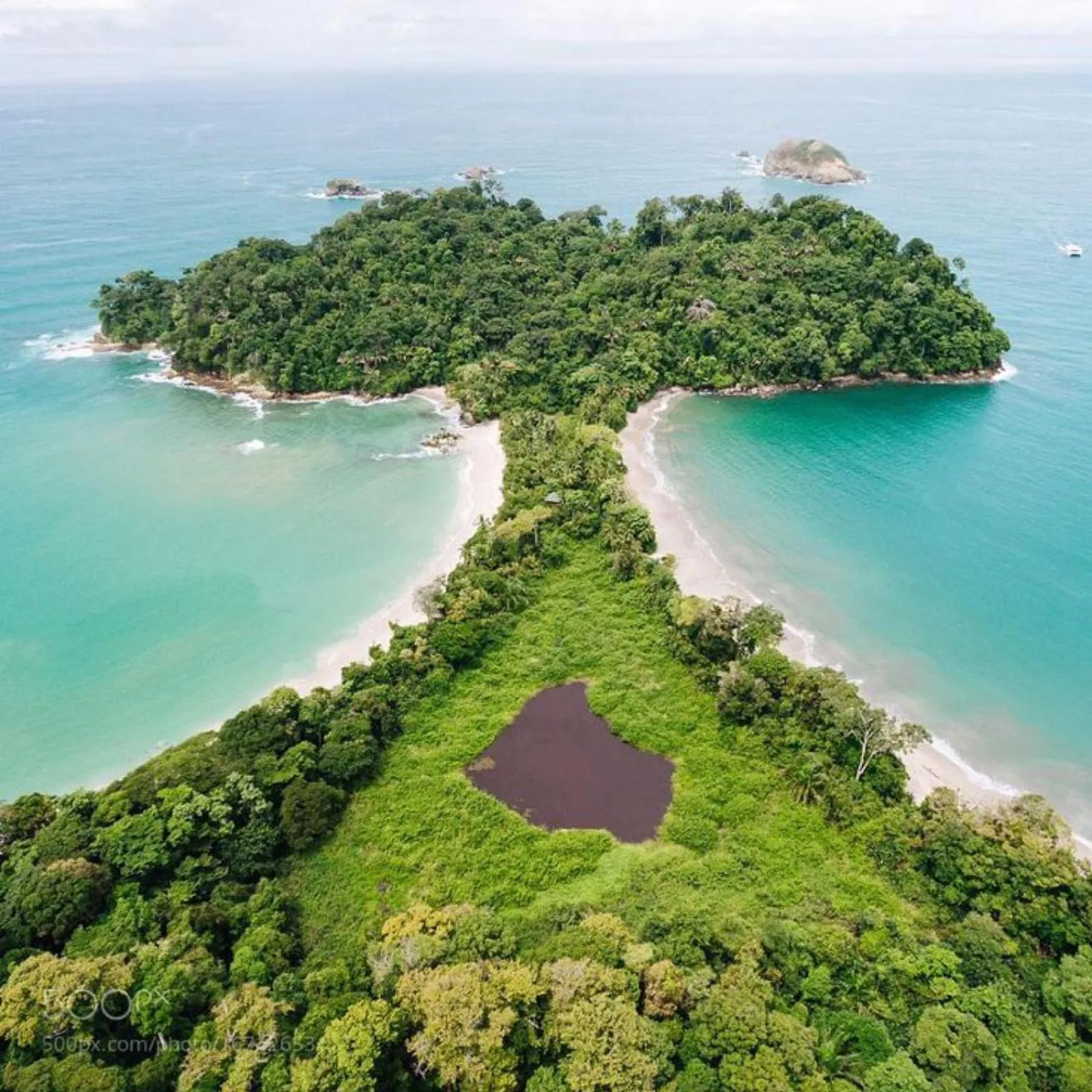 Natural landscape in Hotel Villabosque Eco Boutique