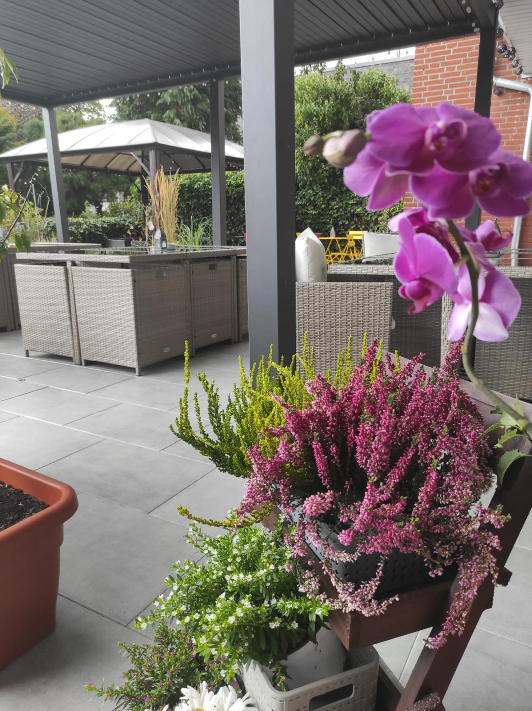 Balcony/Terrace in Hotel Oyten am Markt