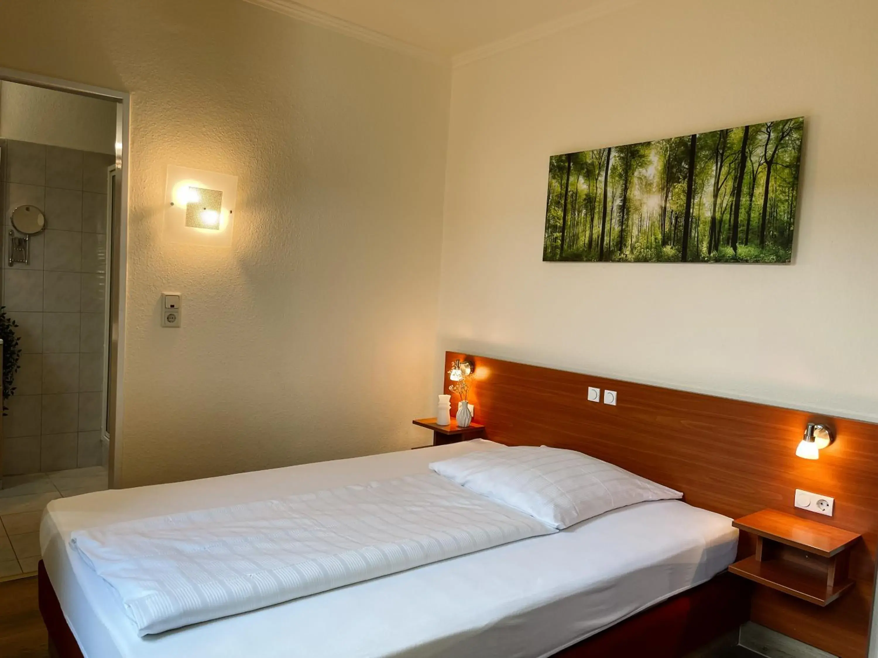 Superior Single Room in Hotel Falk Superior Single Room in Hotel Falk