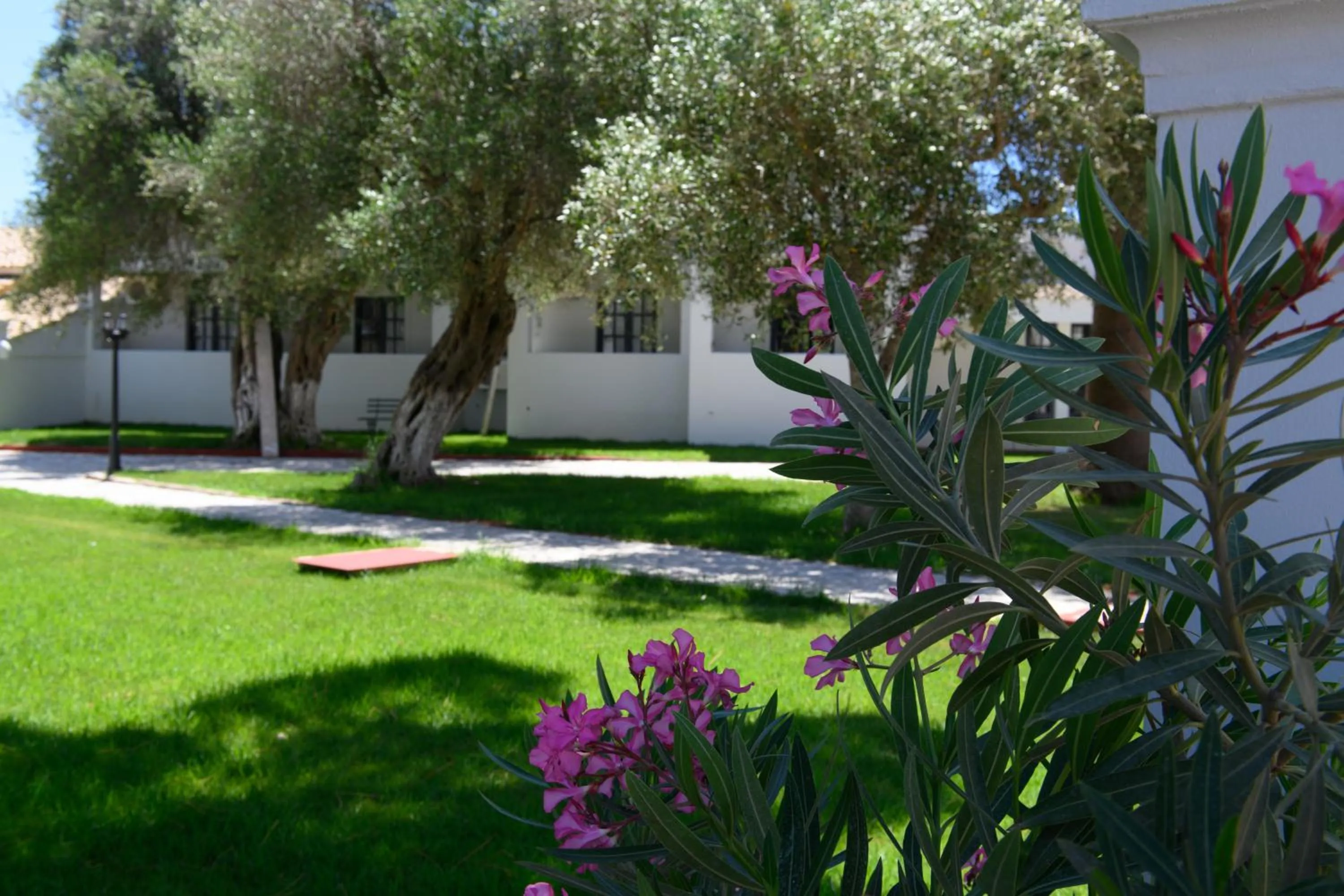 Garden in Corfu SunGate Hotel