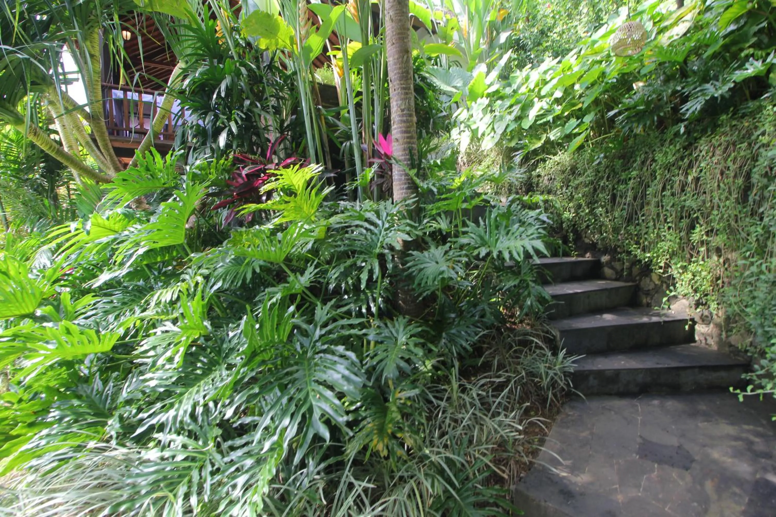 Garden view in Patal Kikian Villa