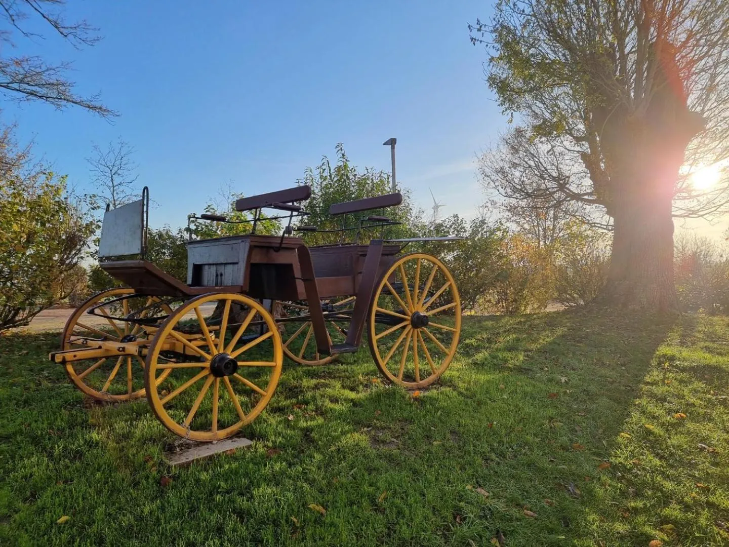 Garden in Land gut Hotel Hermann