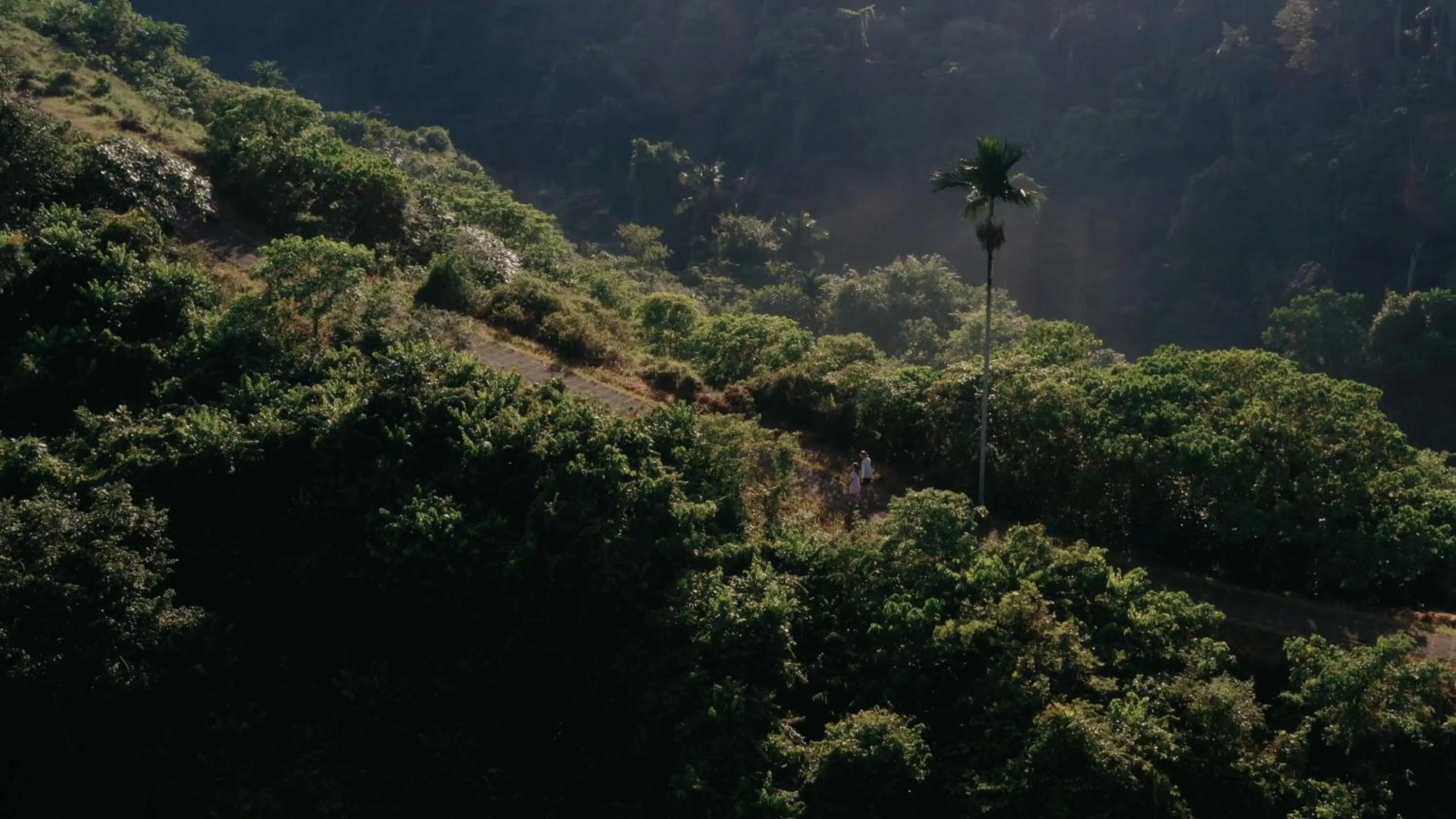 Hiking in Adiwana Suweta